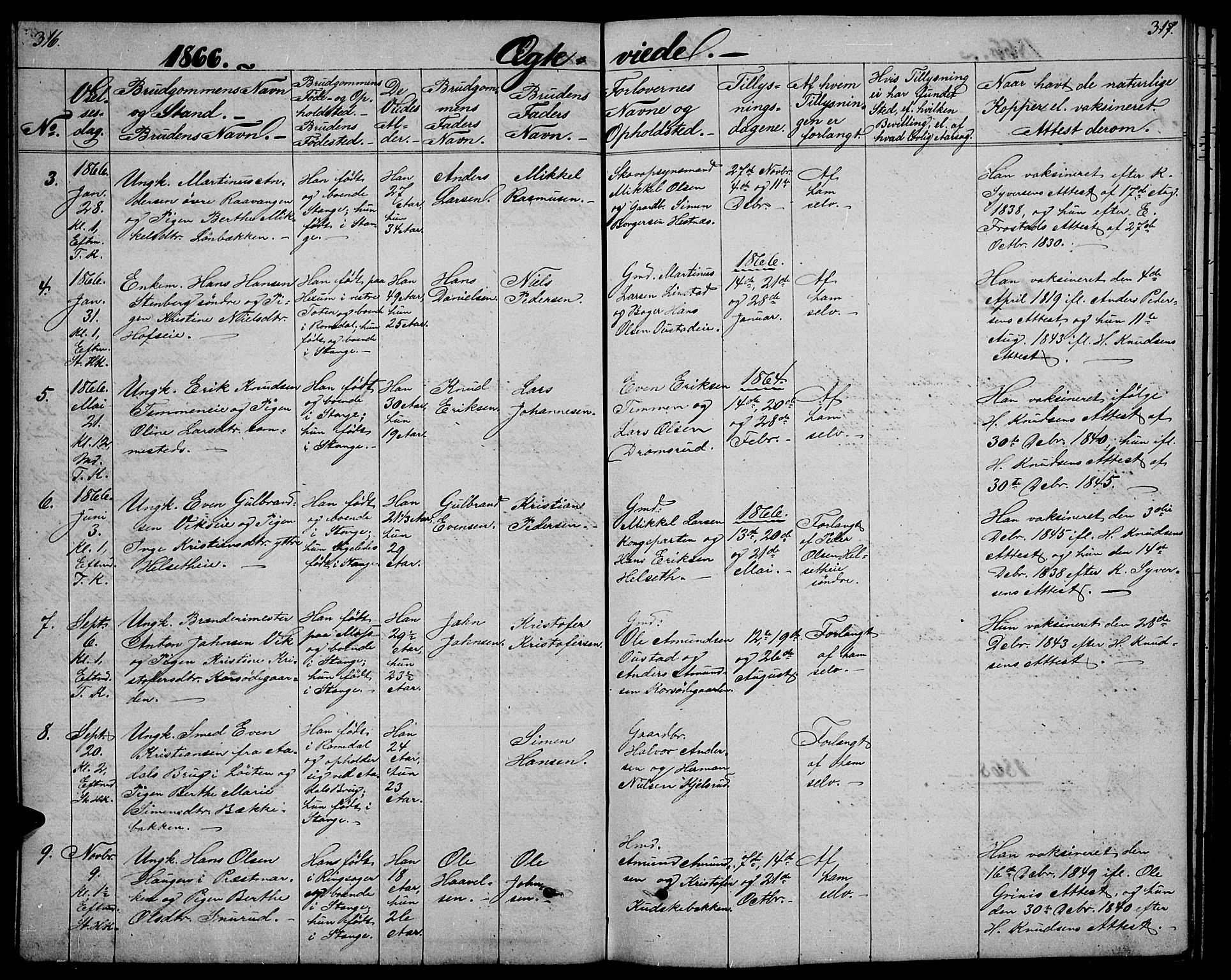 Stange prestekontor, SAH/PREST-002/L/L0005: Parish register (copy) no. 5, 1861-1881, p. 316-317