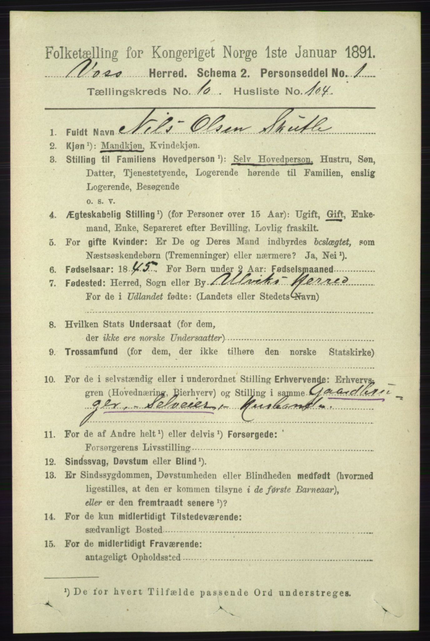 RA, 1891 census for 1235 Voss, 1891, p. 5717