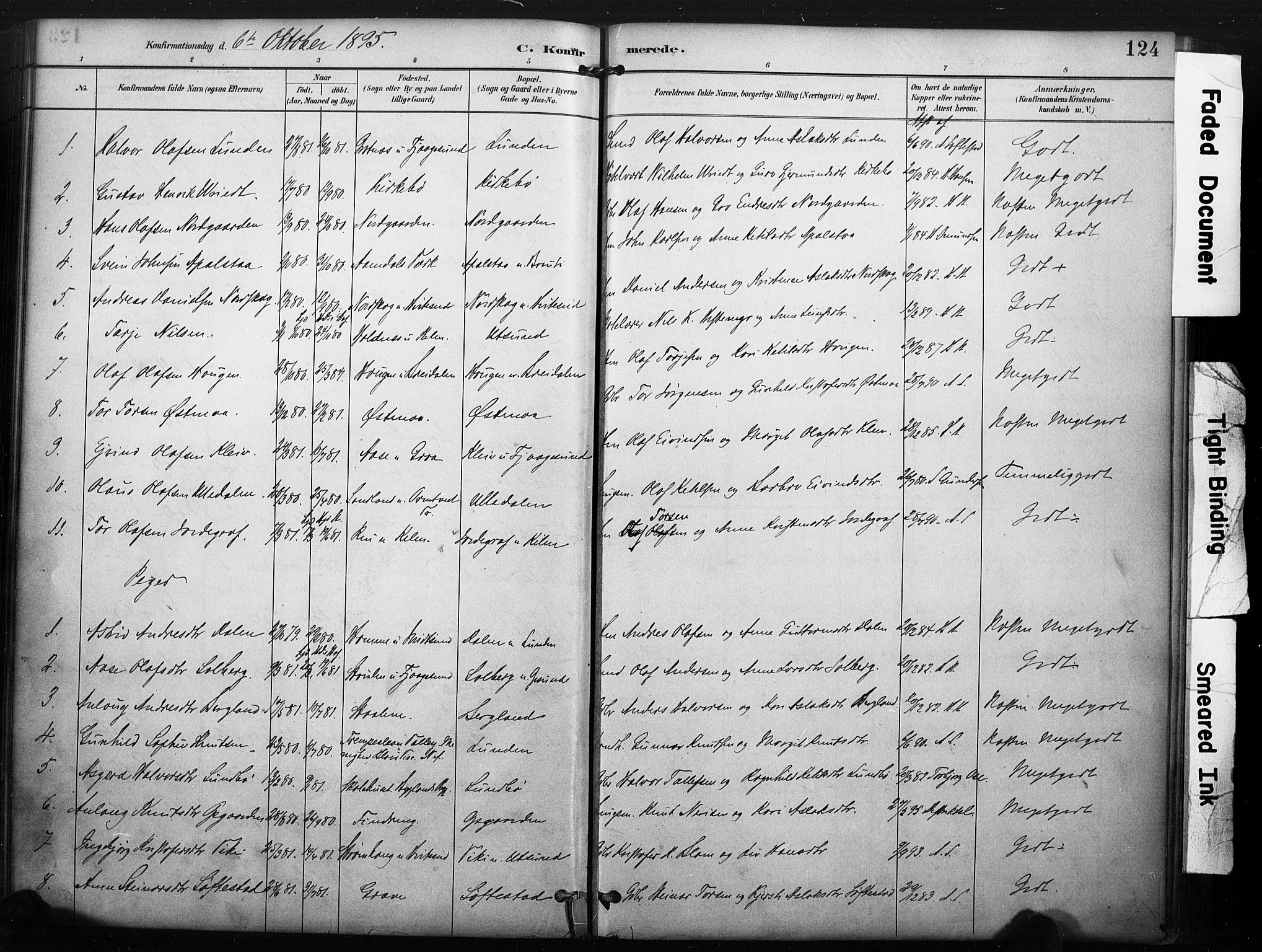 Kviteseid kirkebøker, SAKO/A-276/F/Fa/L0008: Parish register (official) no. I 8, 1882-1903, p. 124