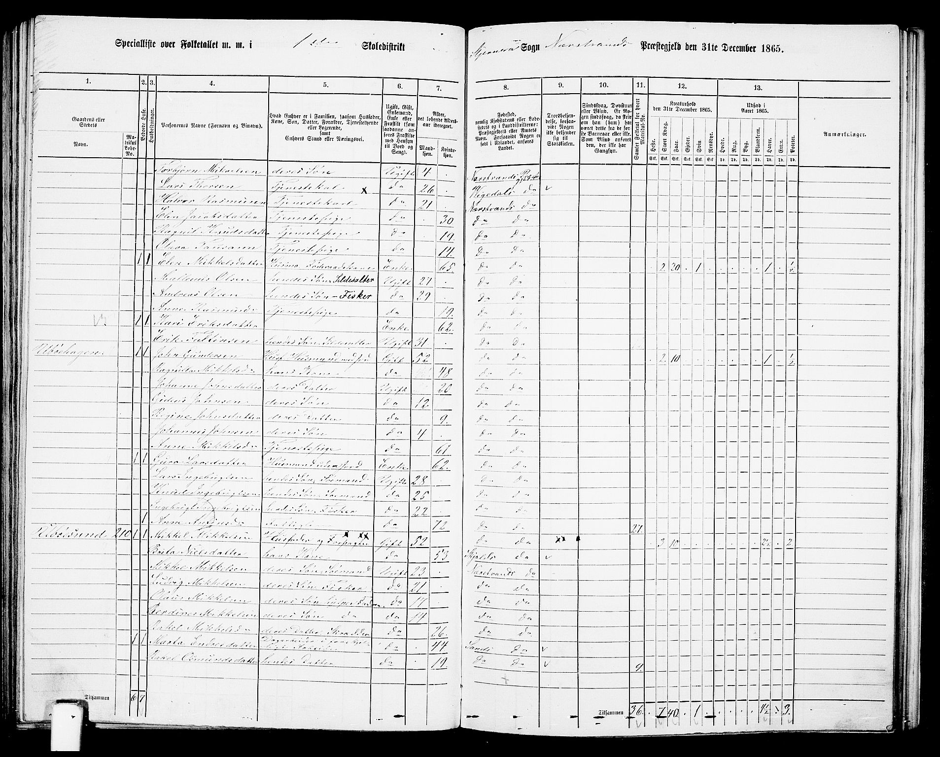 RA, 1865 census for Nedstrand, 1865, p. 81