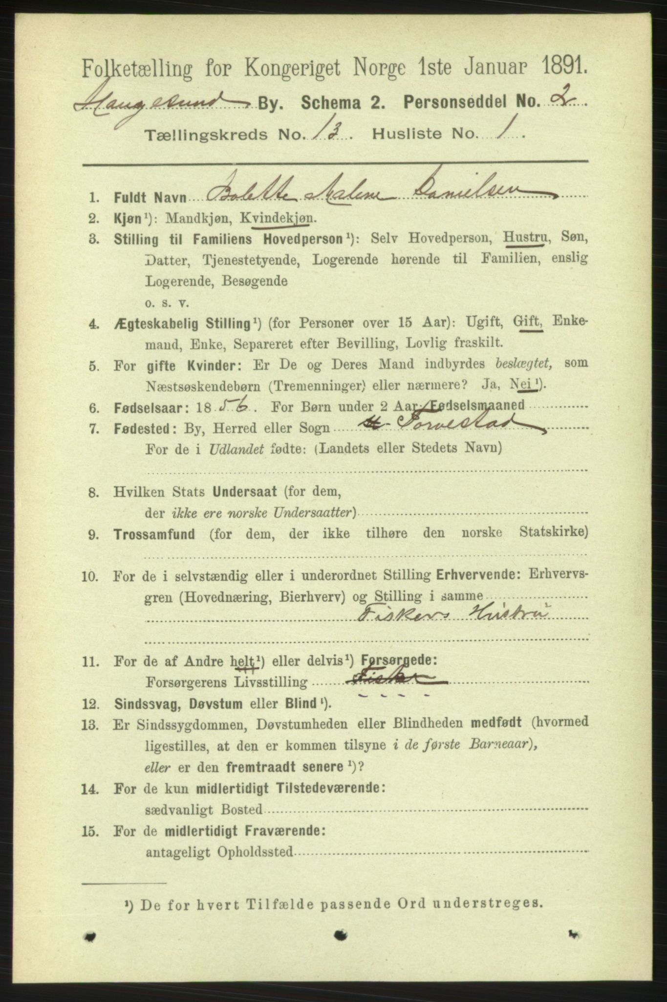 RA, 1891 census for 1106 Haugesund, 1891, p. 4369