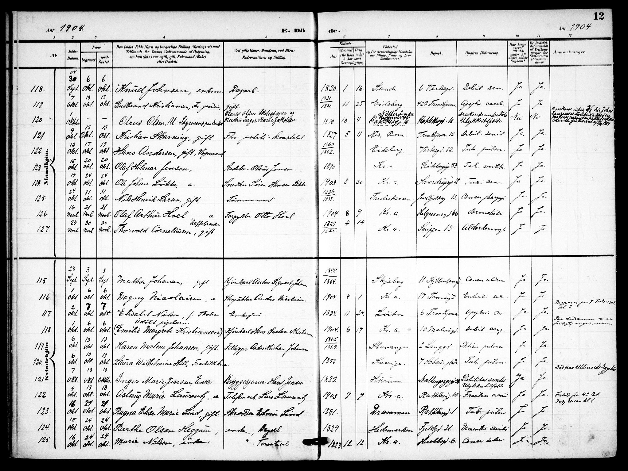 Petrus prestekontor Kirkebøker, AV/SAO-A-10872/F/Fa/L0010: Parish register (official) no. 10, 1904-1916, p. 12