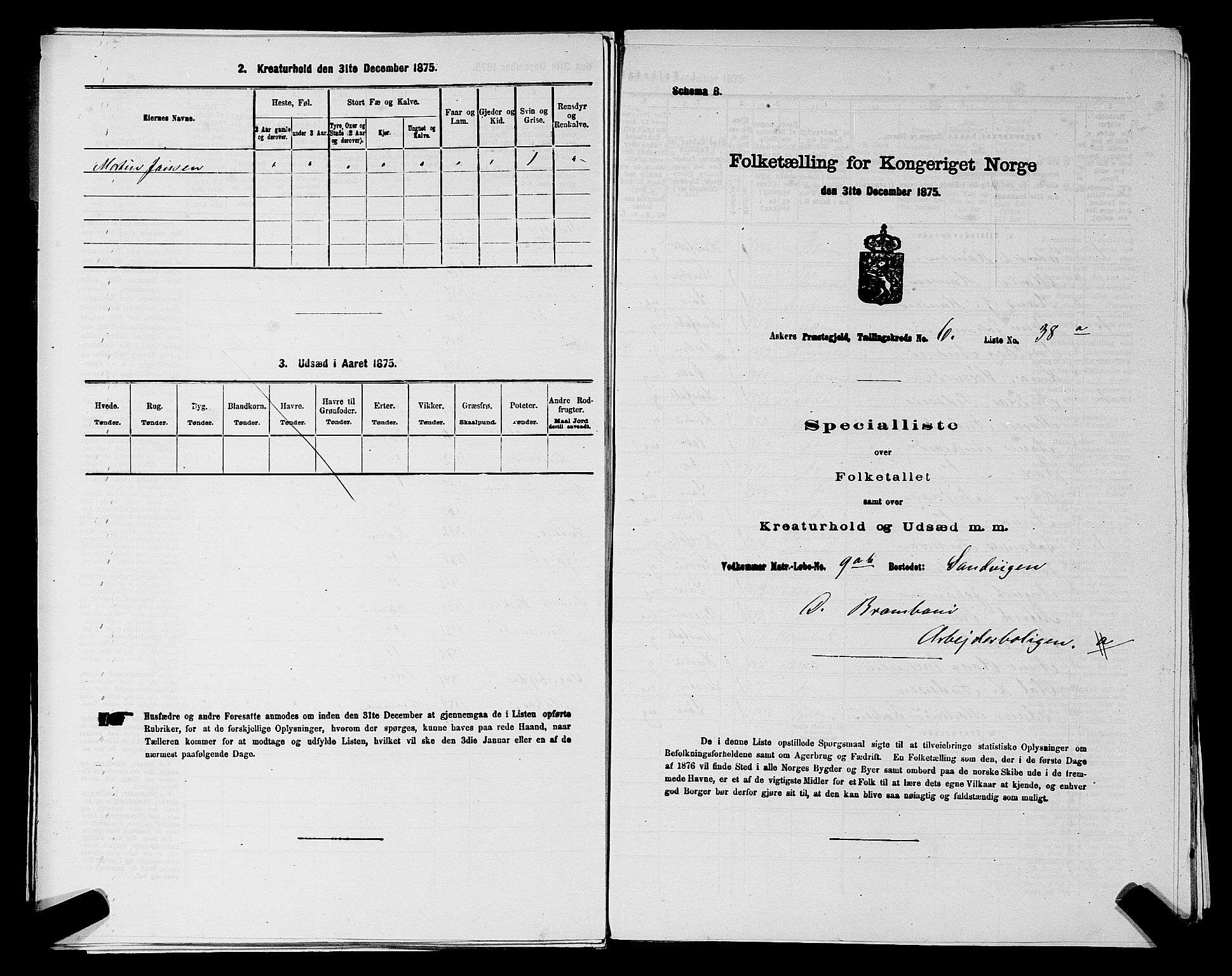 RA, 1875 census for 0220P Asker, 1875, p. 1194