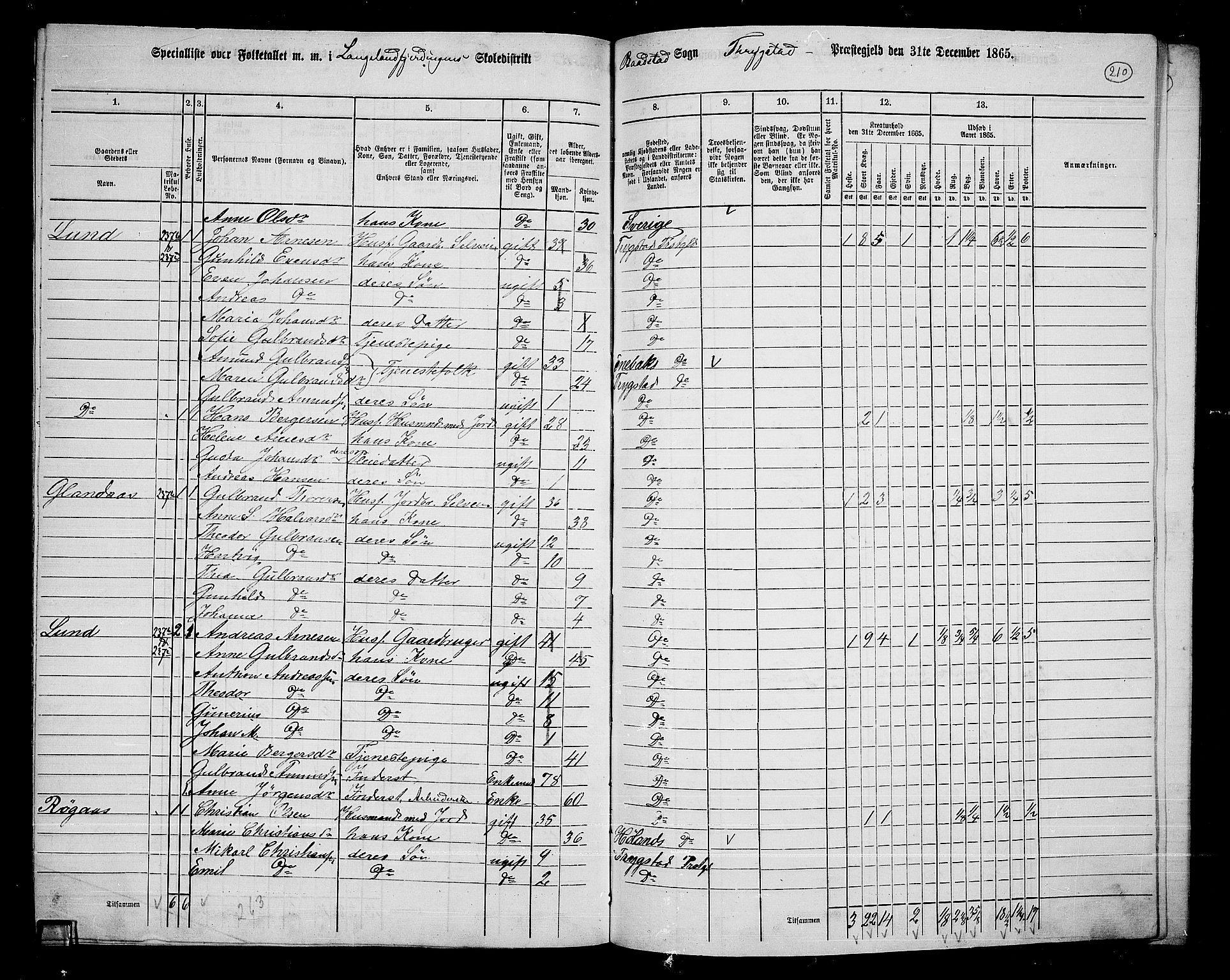 RA, 1865 census for Trøgstad, 1865, p. 185