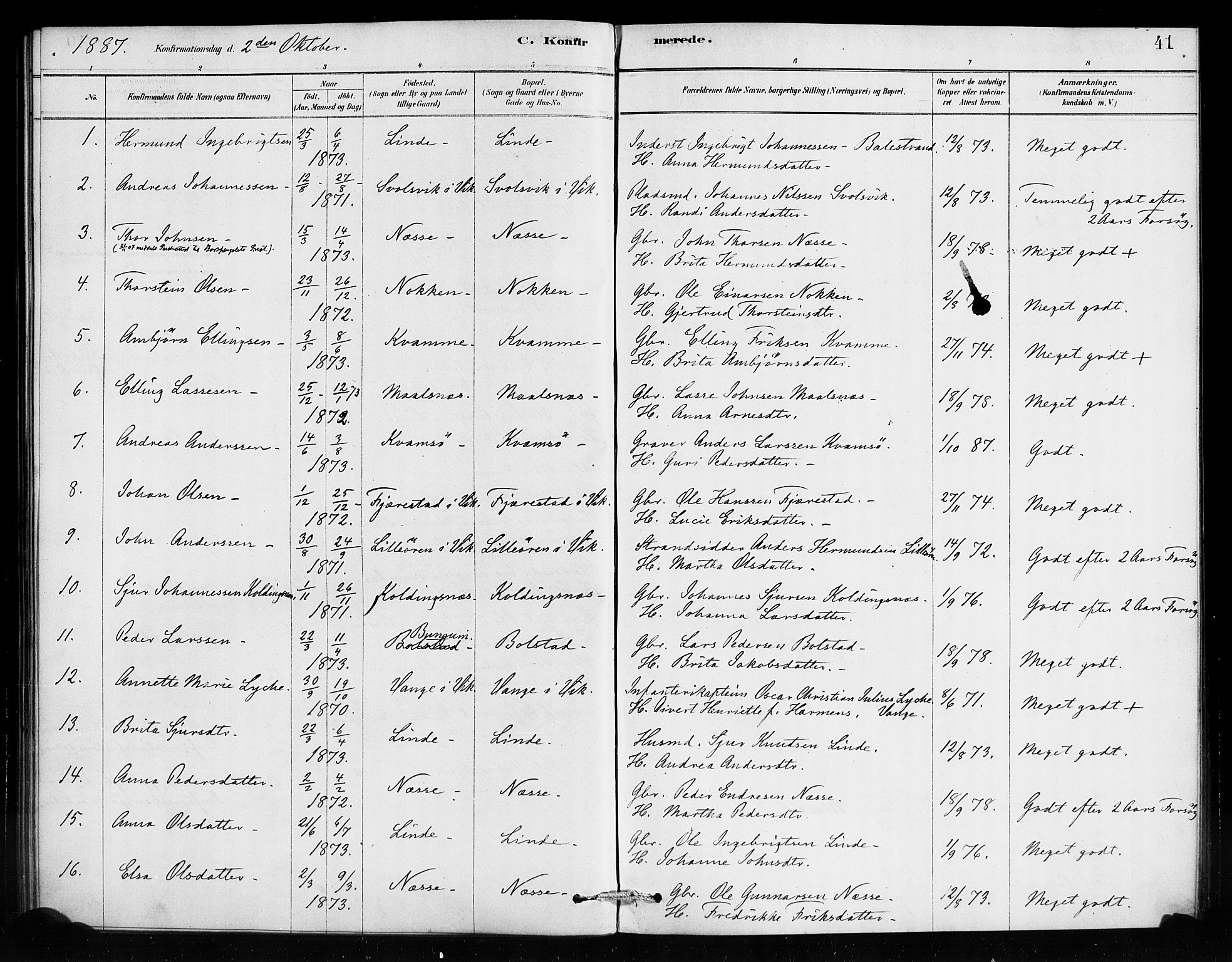 Vik sokneprestembete, AV/SAB-A-81501/H/Haa/Haad/L0001: Parish register (official) no. D 1, 1878-1890, p. 41