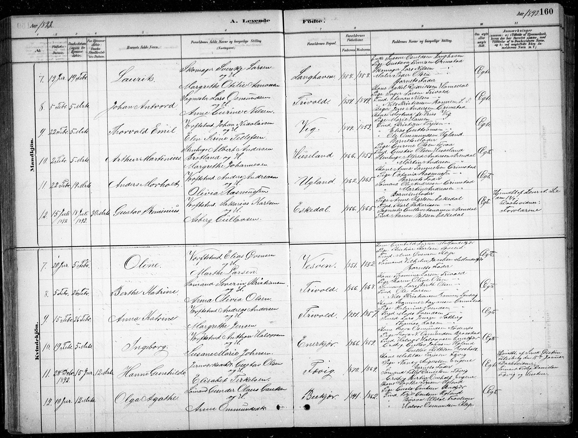 Fjære sokneprestkontor, AV/SAK-1111-0011/F/Fb/L0011: Parish register (copy) no. B 11, 1881-1905, p. 160