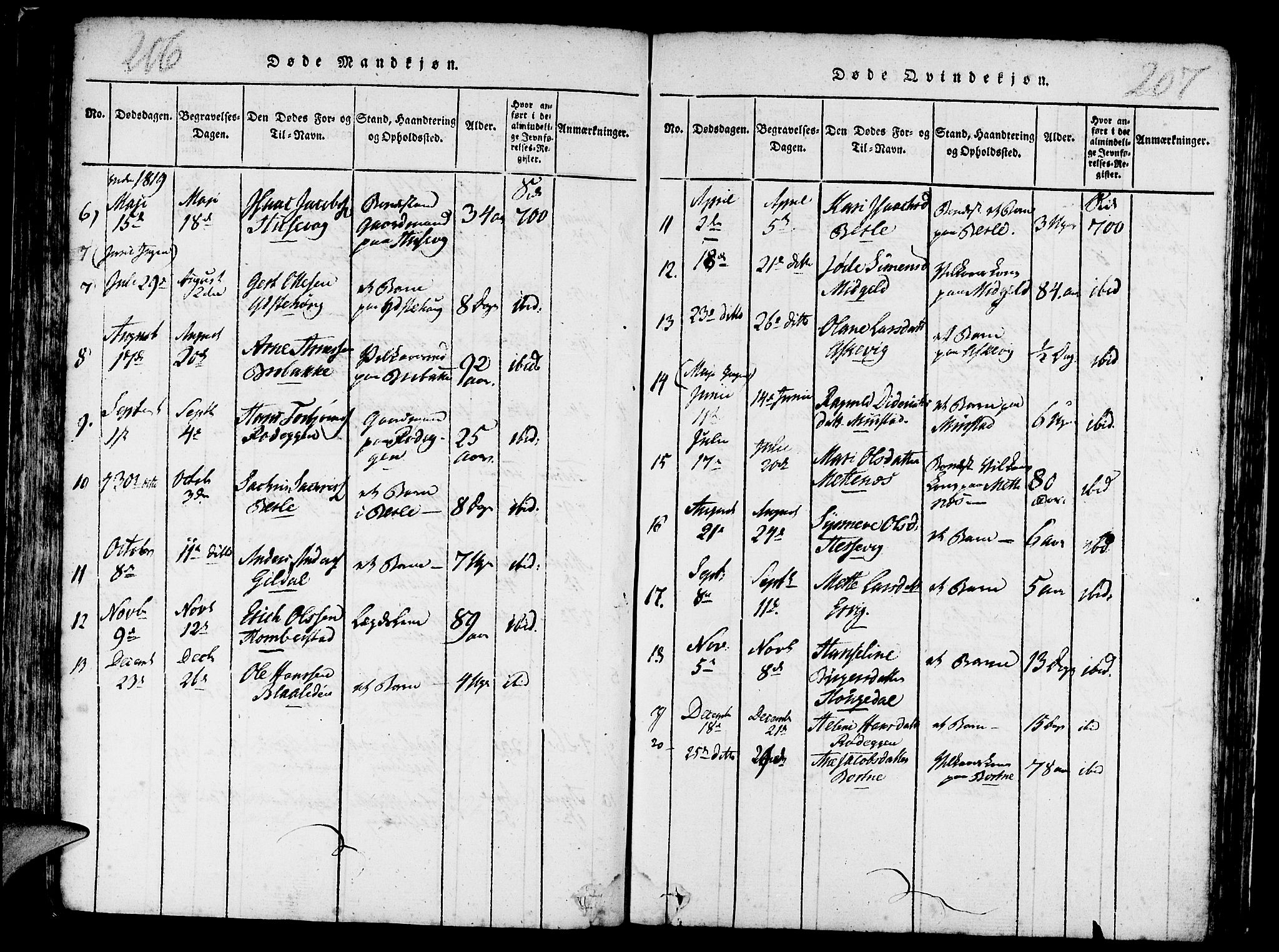 Davik sokneprestembete, AV/SAB-A-79701/H/Haa/Haaa/L0003: Parish register (official) no. A 3, 1816-1830, p. 206-207