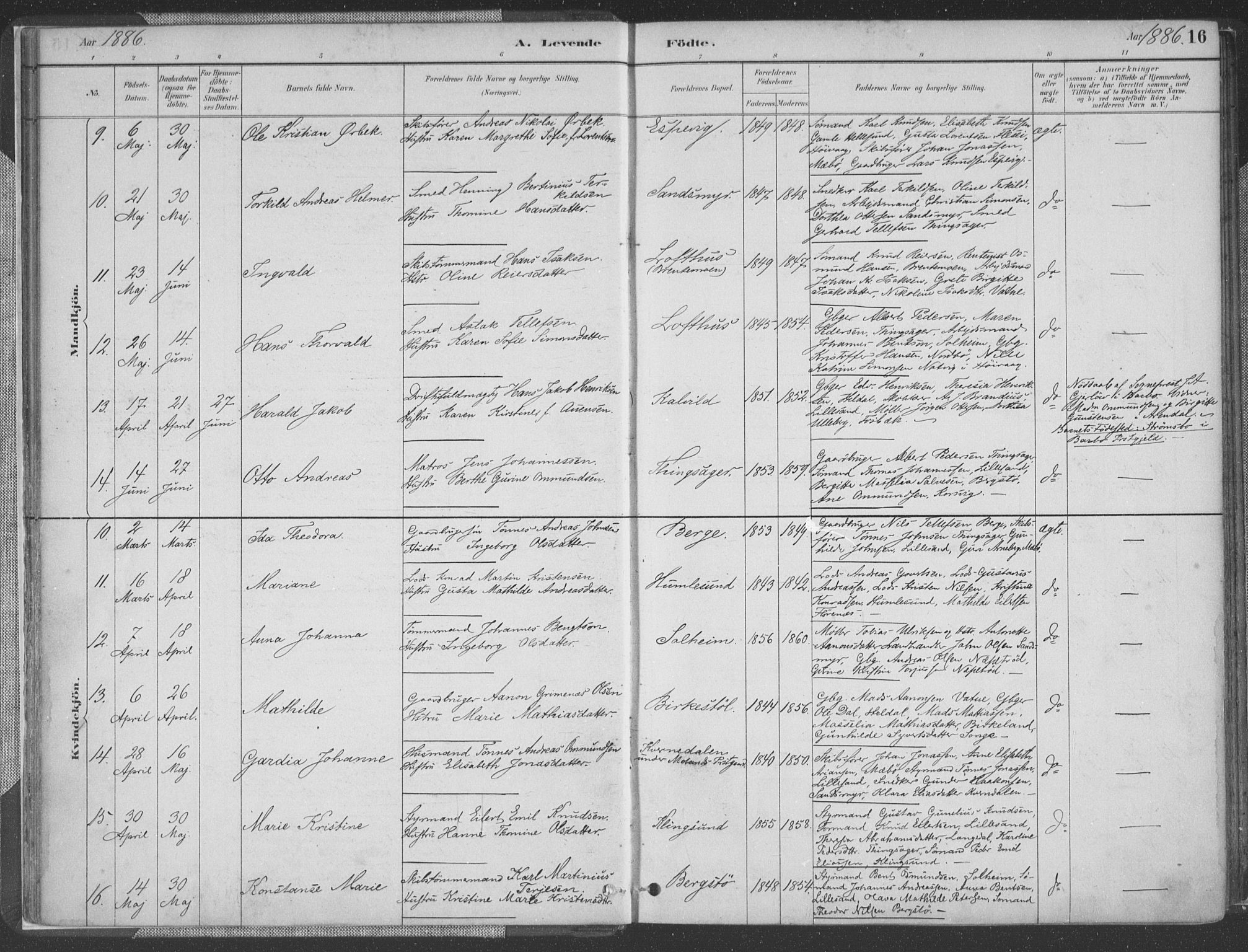 Vestre Moland sokneprestkontor, SAK/1111-0046/F/Fa/Fab/L0009: Parish register (official) no. A 9, 1884-1899, p. 16