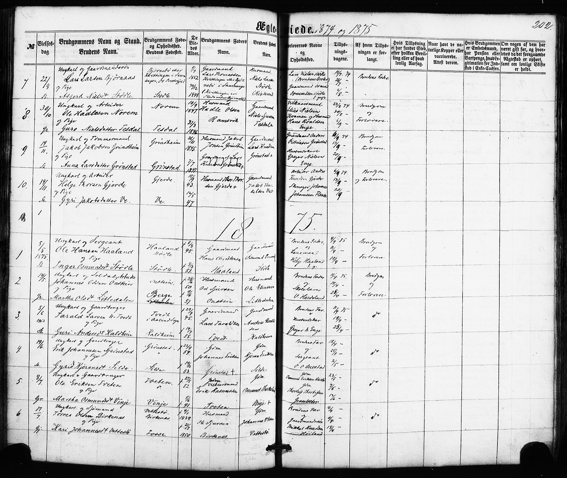 Etne sokneprestembete, SAB/A-75001/H/Haa: Parish register (official) no. A 9, 1862-1878, p. 202