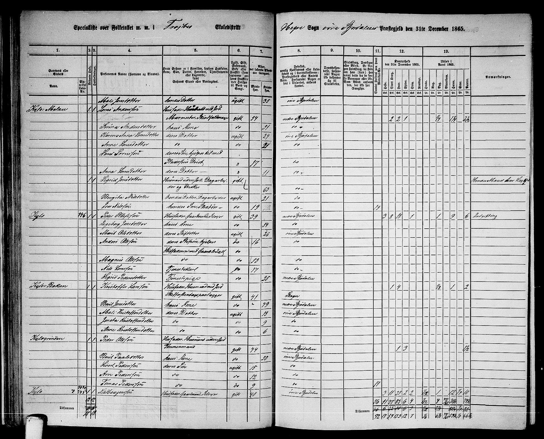 RA, 1865 census for Øvre Stjørdal, 1865, p. 46