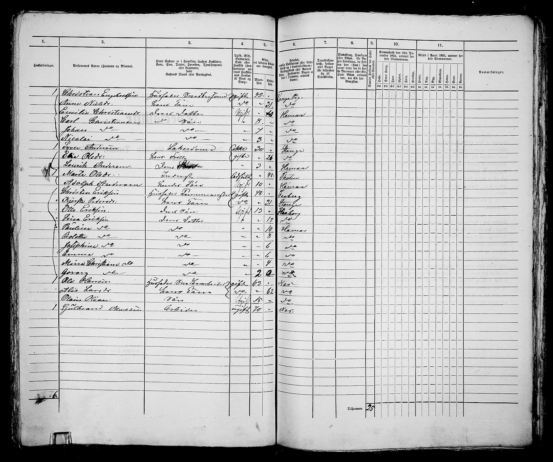RA, 1865 census for Vang/Hamar, 1865, p. 176