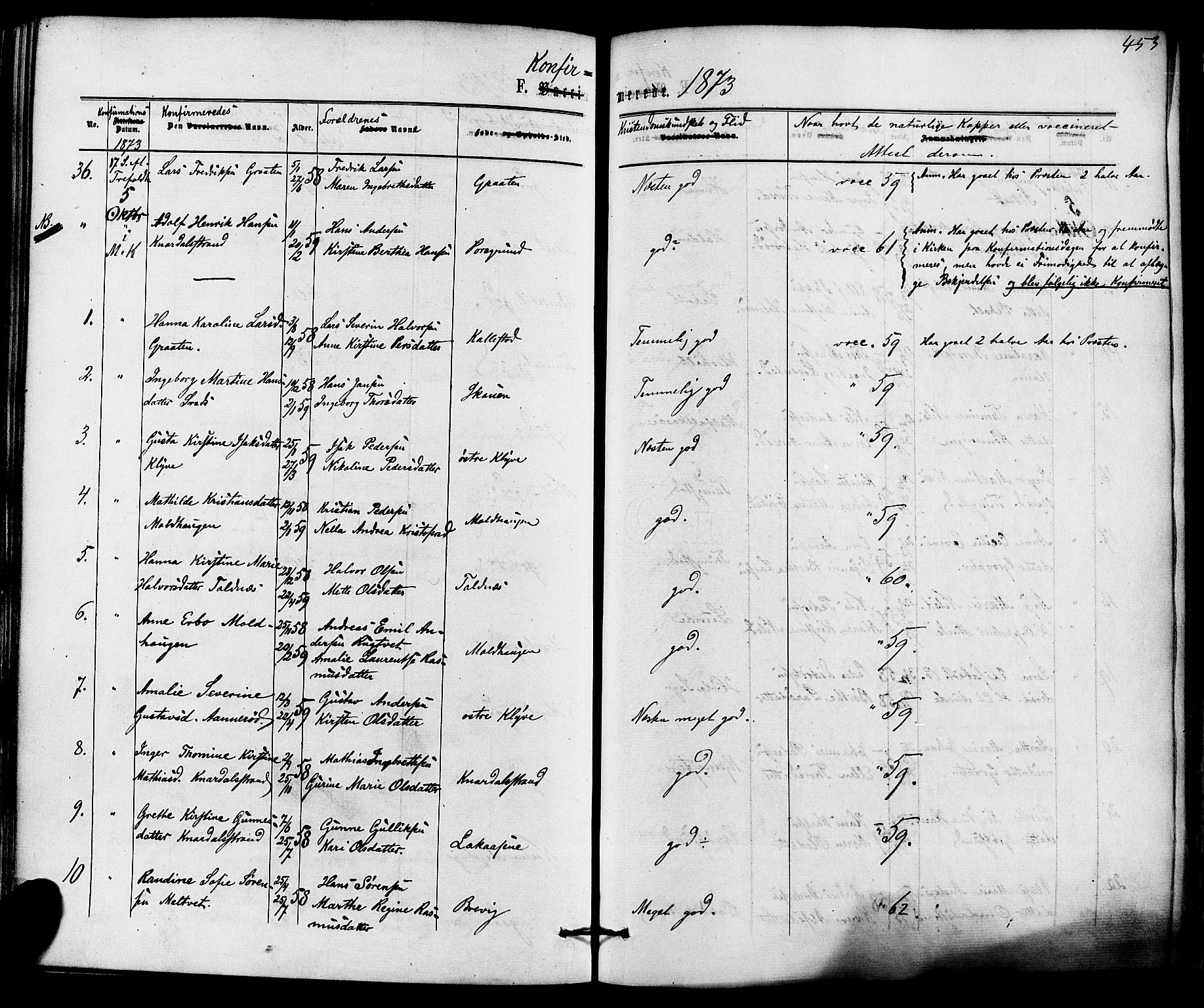 Solum kirkebøker, AV/SAKO-A-306/F/Fa/L0008: Parish register (official) no. I 8, 1865-1876, p. 453