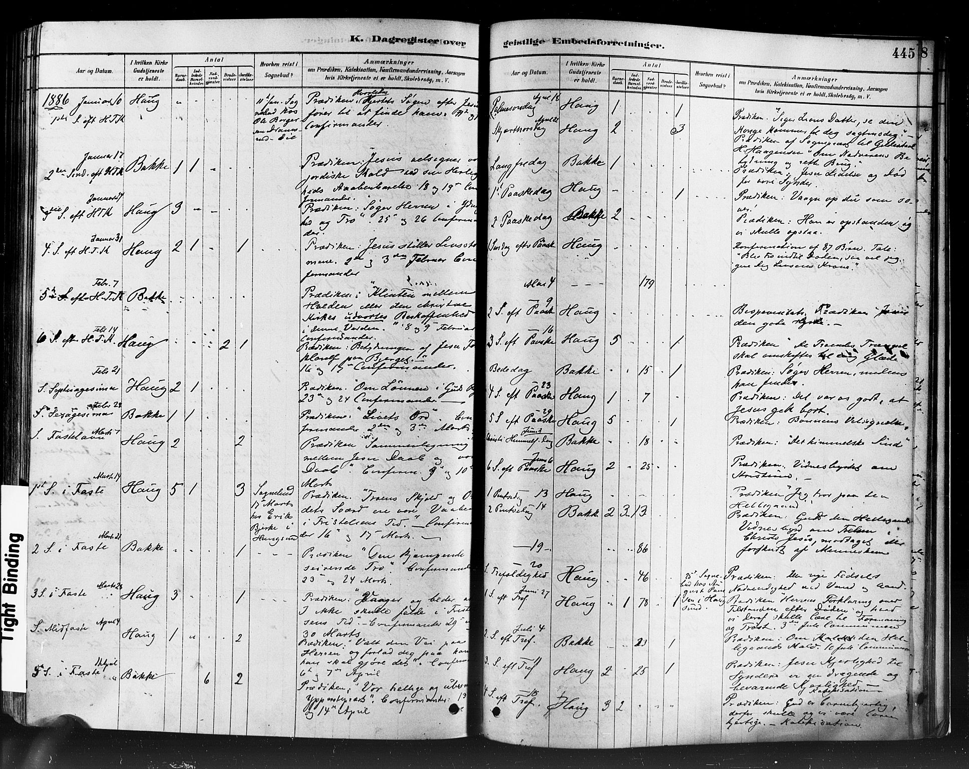 Eiker kirkebøker, SAKO/A-4/F/Fb/L0001: Parish register (official) no. II 1, 1878-1888, p. 445