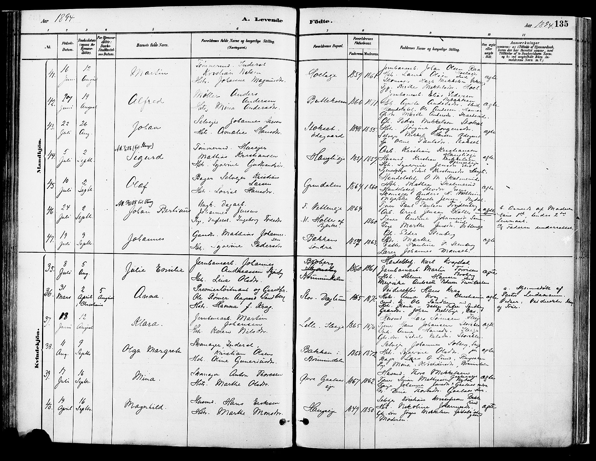 Vang prestekontor, Hedmark, SAH/PREST-008/H/Ha/Haa/L0018A: Parish register (official) no. 18A, 1880-1906, p. 135