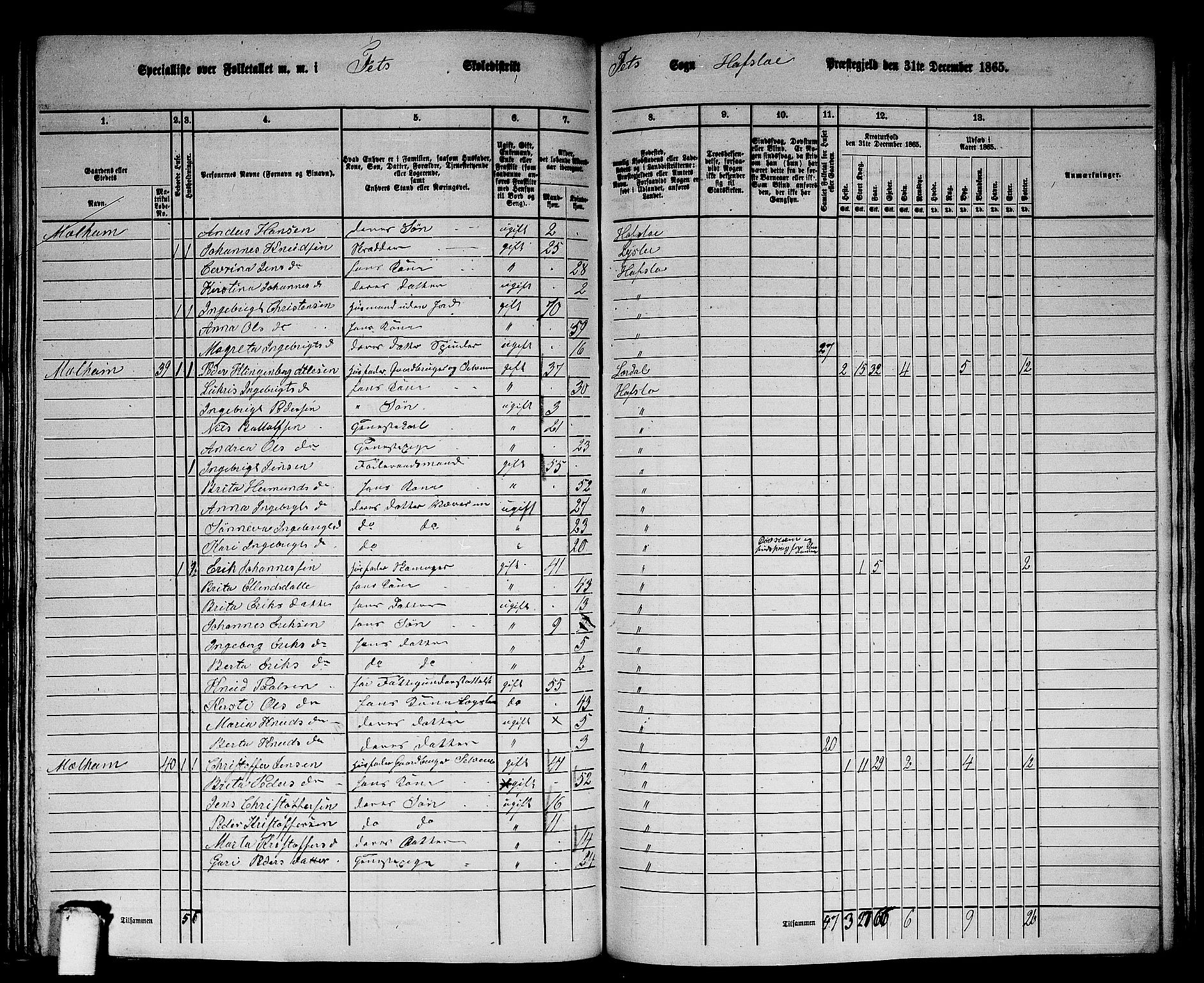 RA, 1865 census for Hafslo, 1865, p. 110