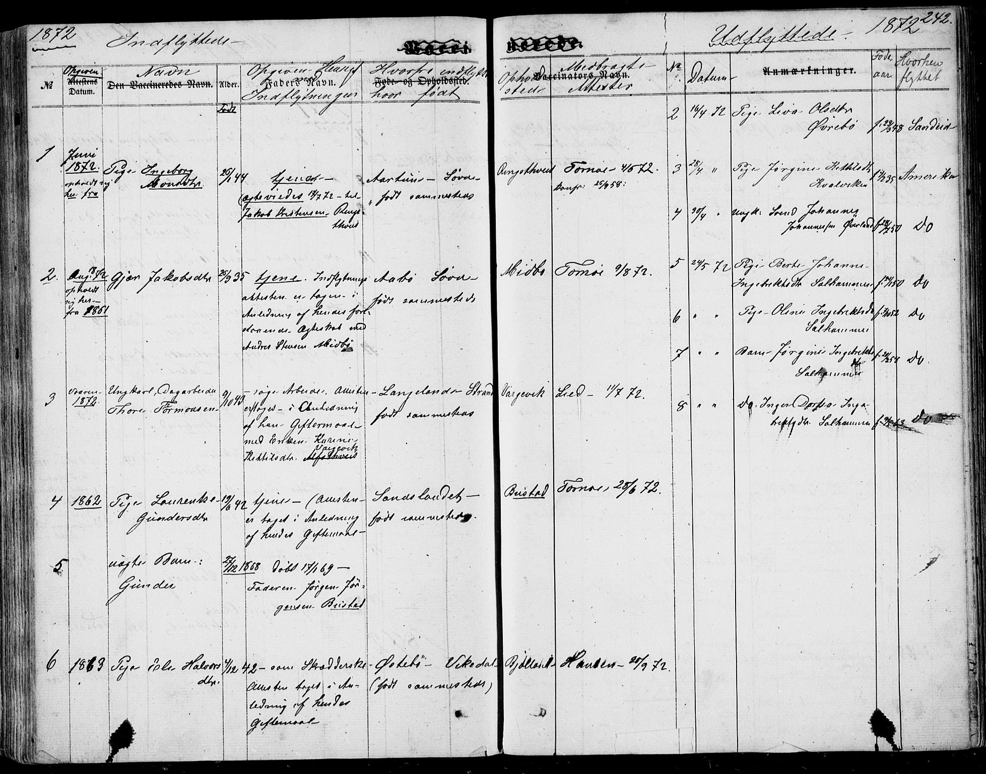 Nedstrand sokneprestkontor, AV/SAST-A-101841/01/IV: Parish register (official) no. A 9, 1861-1876, p. 242