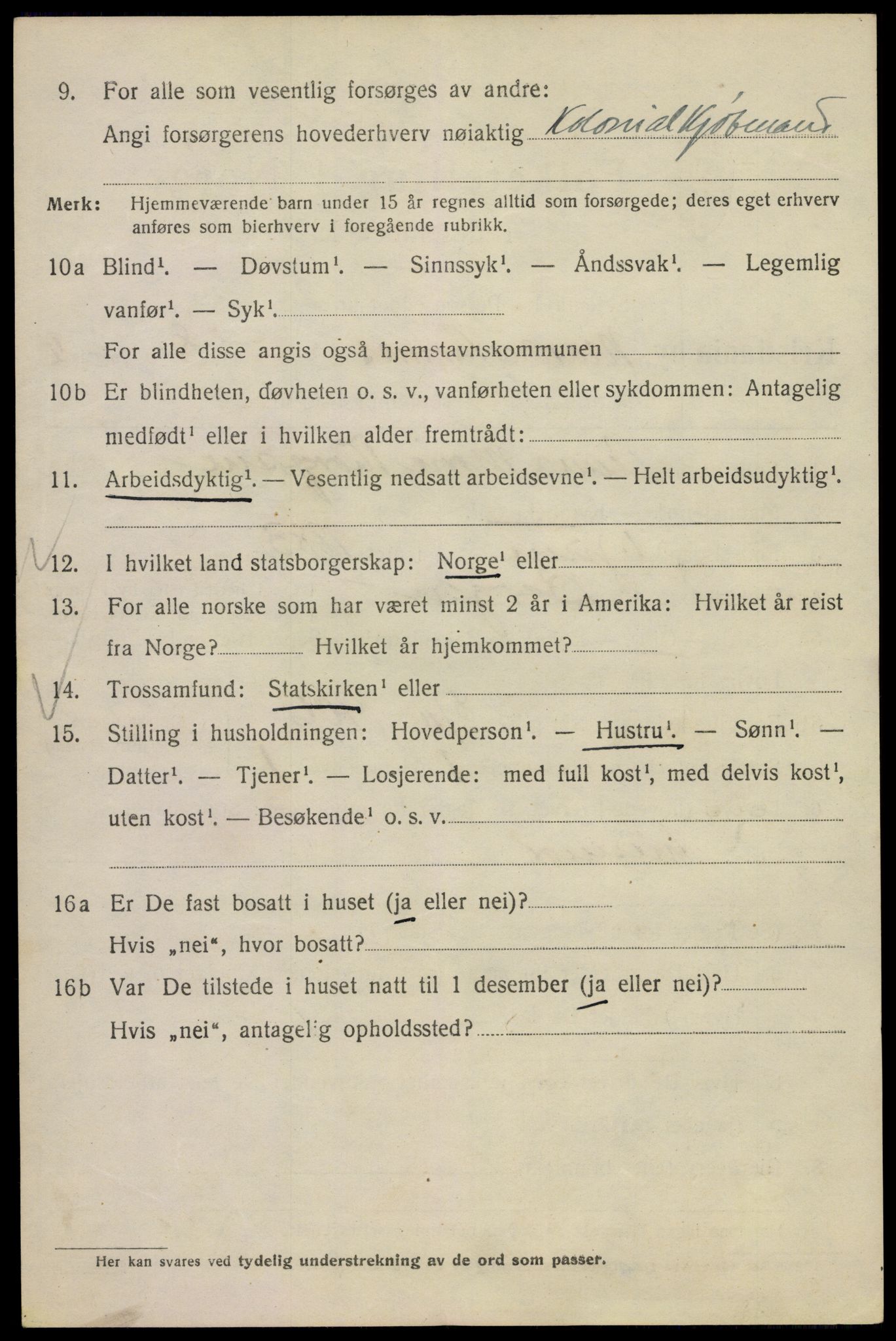 SAO, 1920 census for Kristiania, 1920, p. 374998