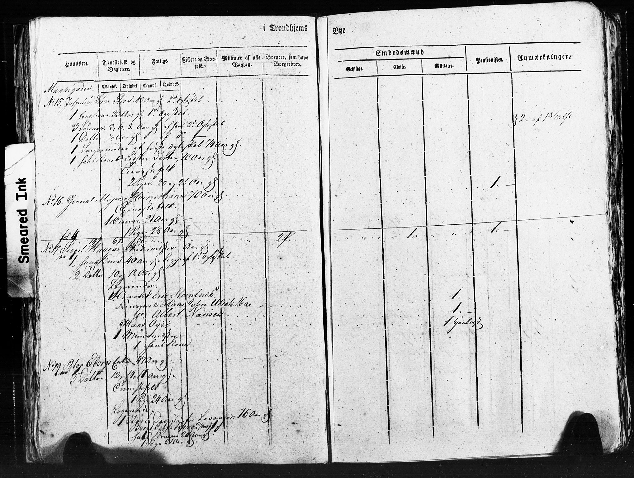 SAT, Census 1815 for Trondheim (transcript), 1815, p. 250