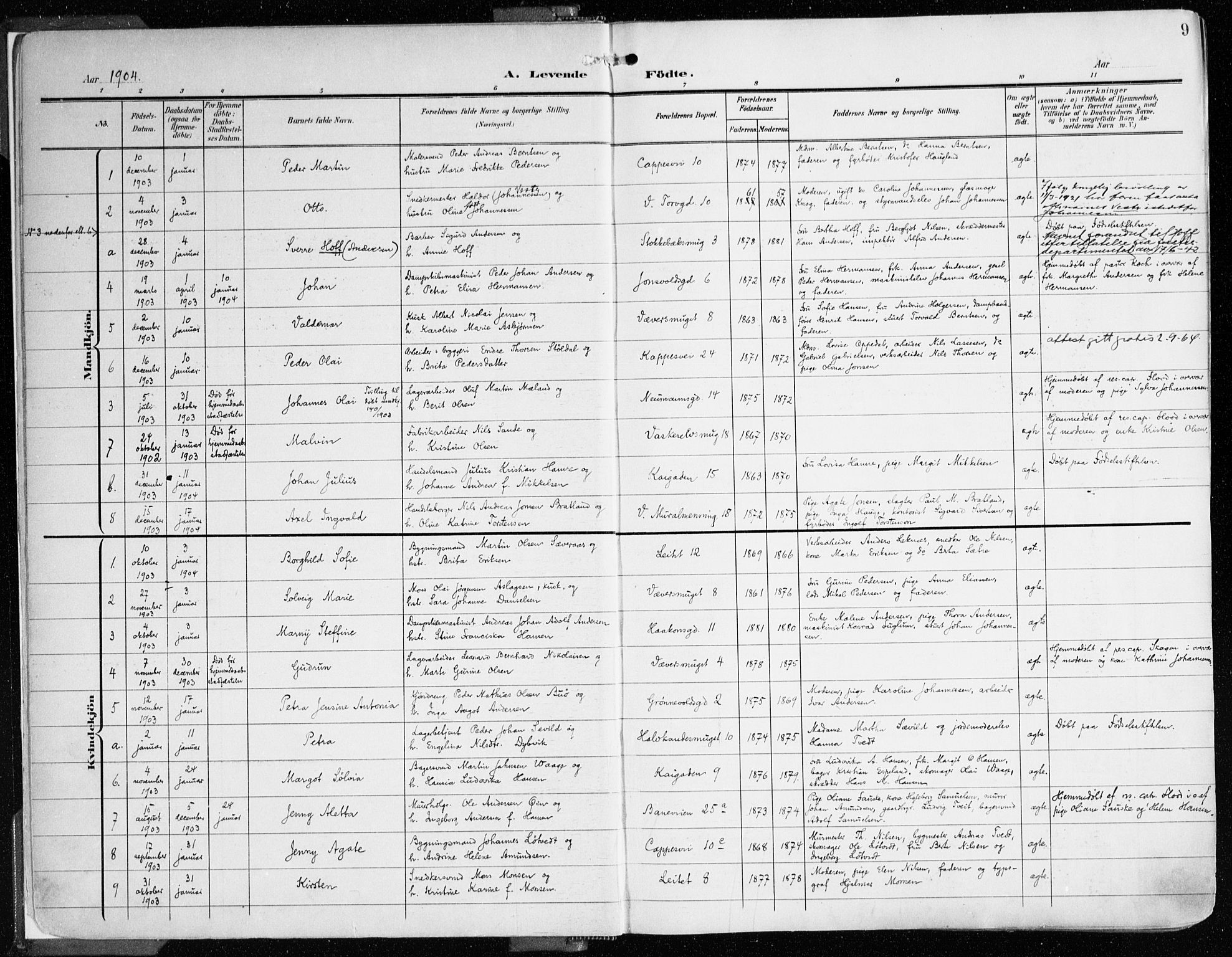 Domkirken sokneprestembete, SAB/A-74801/H/Haa/L0025: Parish register (official) no. B 8, 1903-1925, p. 9