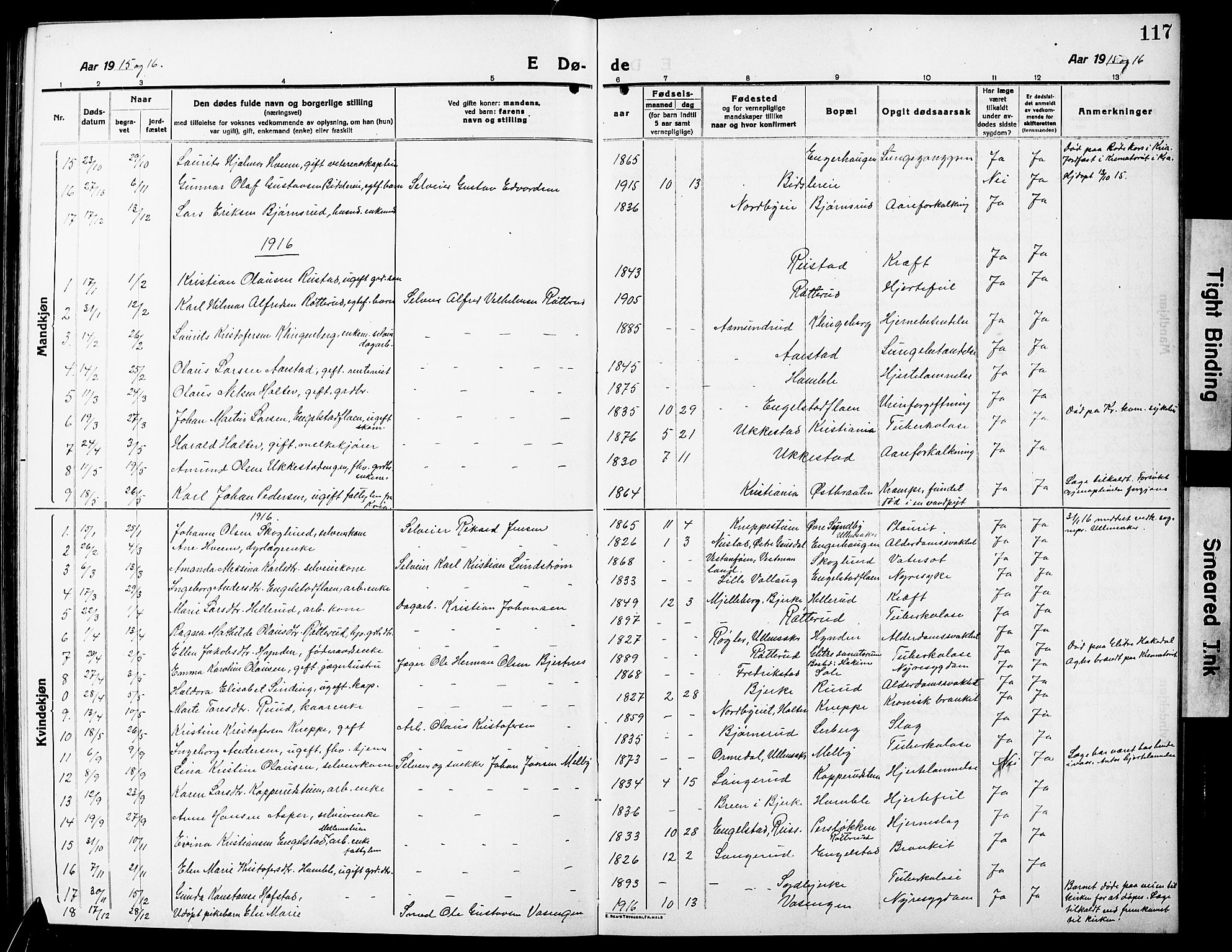 Nannestad prestekontor Kirkebøker, SAO/A-10414a/G/Ga/L0003: Parish register (copy) no. I 3, 1914-1929, p. 117