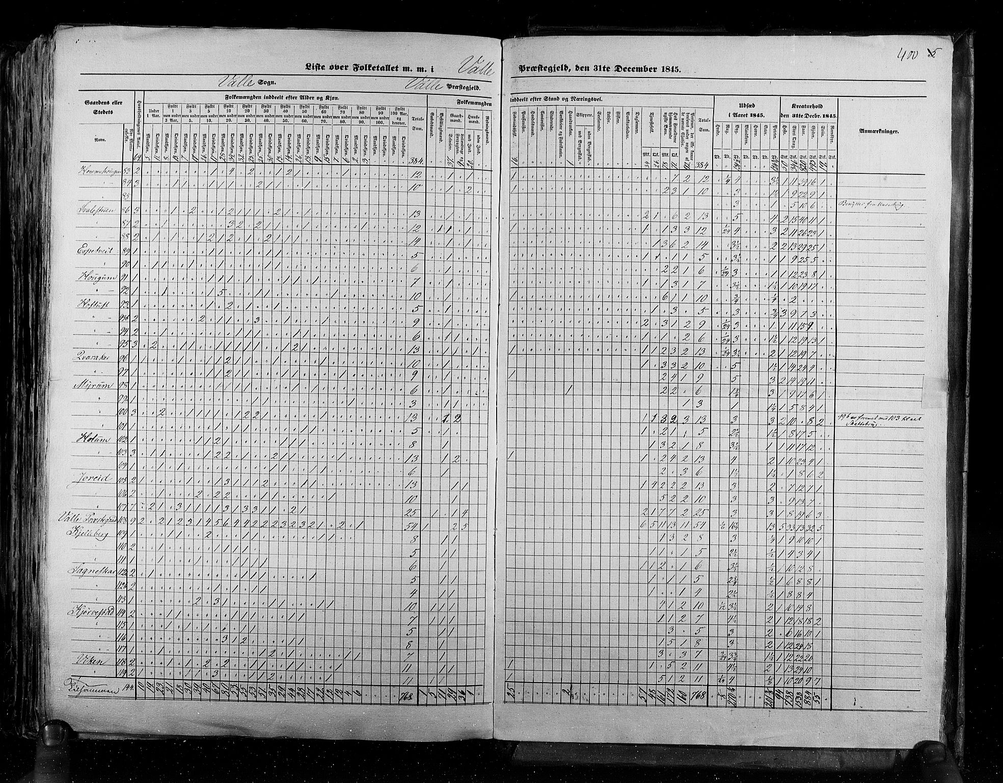 RA, Census 1845, vol. 5: Bratsberg amt og Nedenes og Råbyggelaget amt, 1845, p. 400