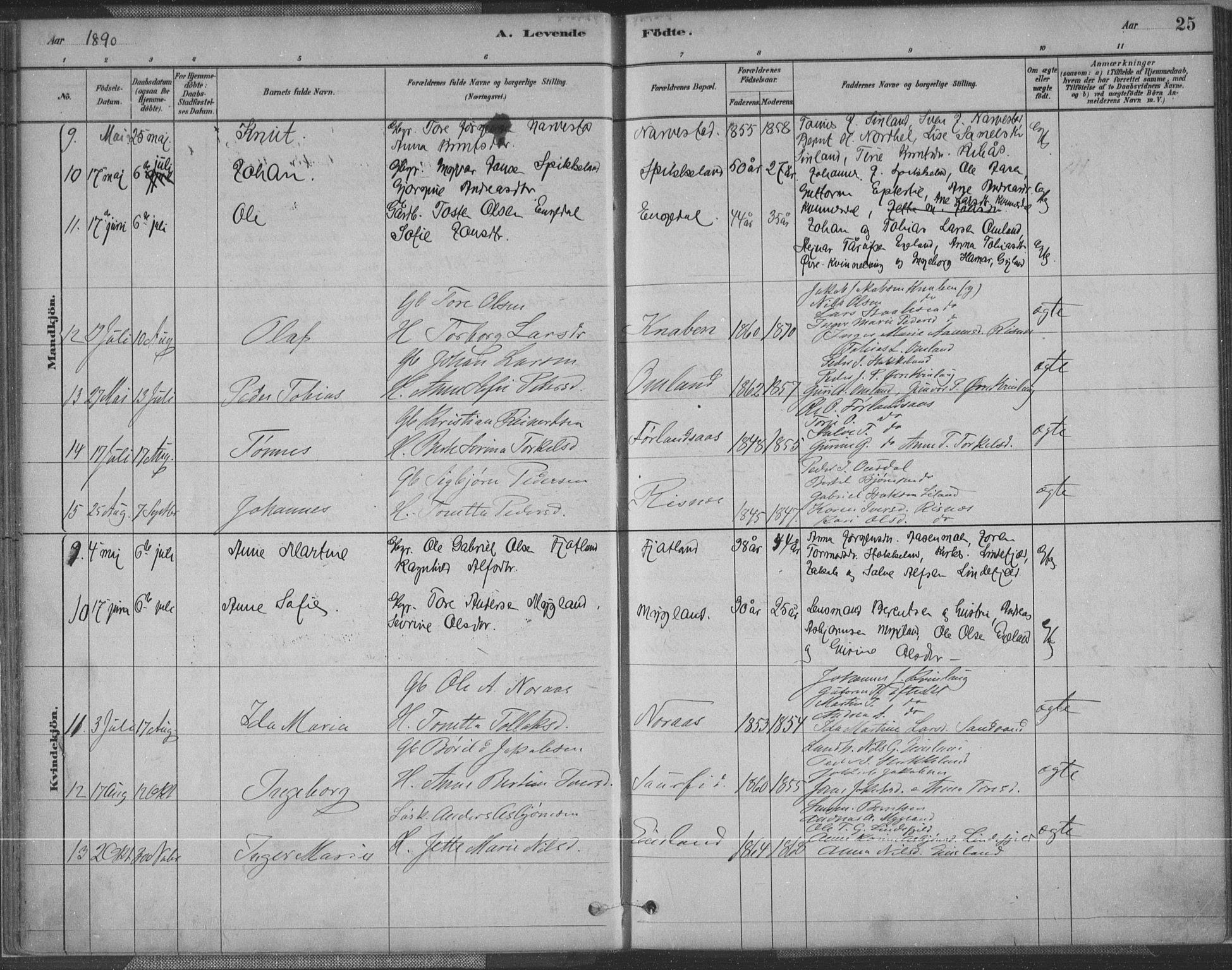 Fjotland sokneprestkontor, AV/SAK-1111-0010/F/Fa/L0002: Parish register (official) no. A 2, 1880-1898, p. 25