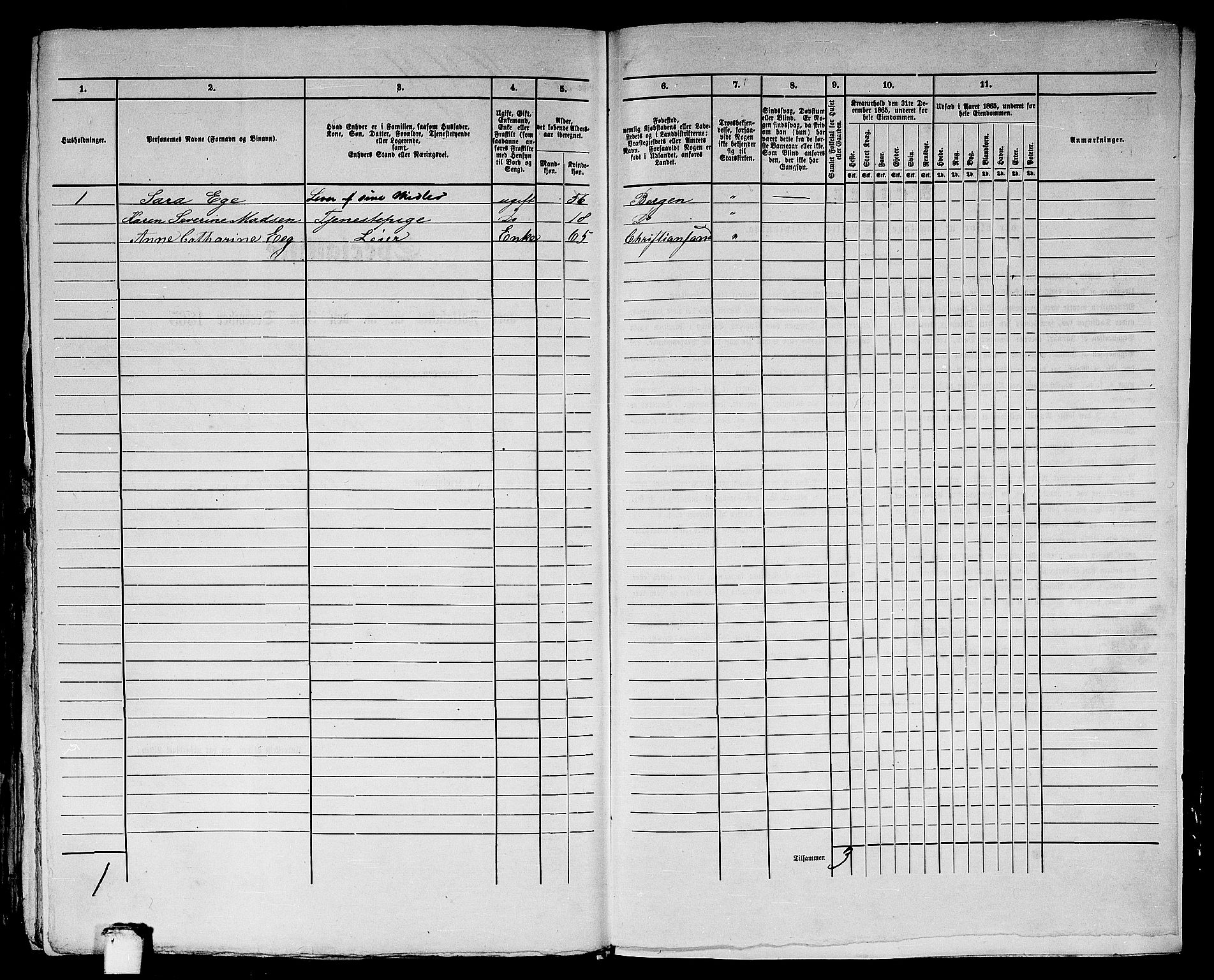 RA, 1865 census for Bergen, 1865, p. 4088