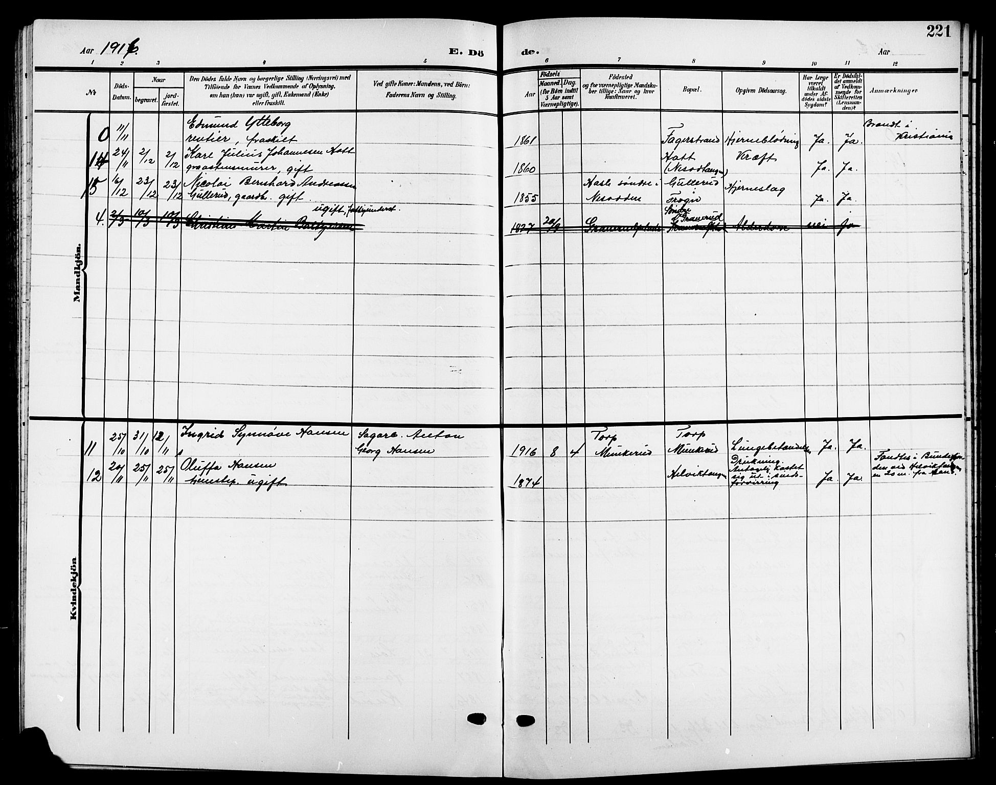 Nesodden prestekontor Kirkebøker, AV/SAO-A-10013/G/Ga/L0002: Parish register (copy) no. I 2, 1905-1924, p. 221