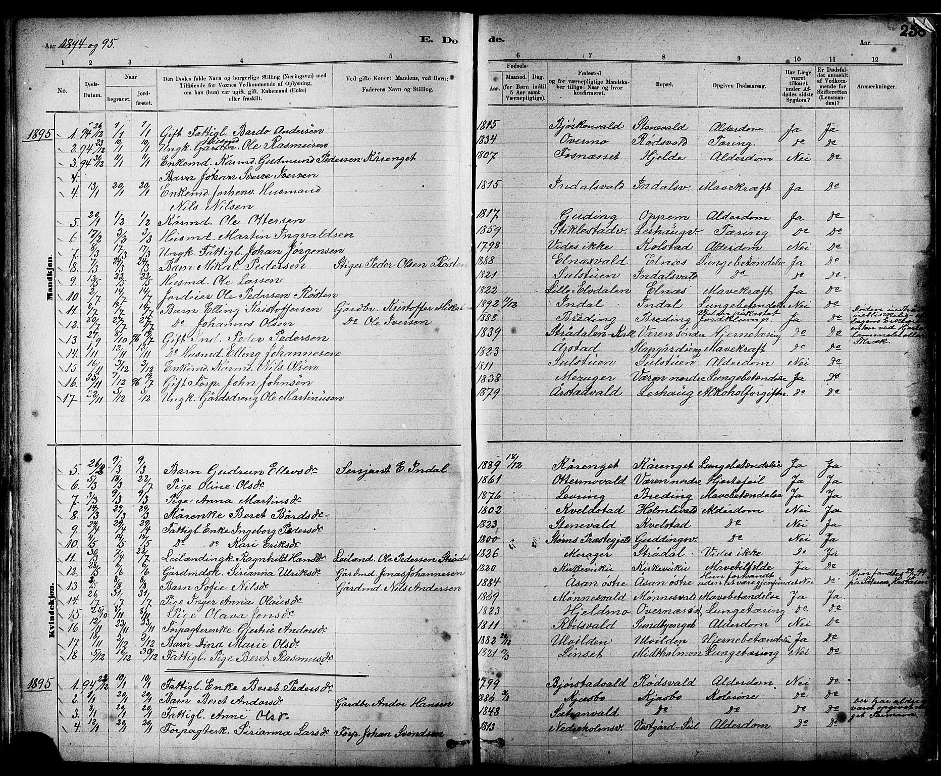 Ministerialprotokoller, klokkerbøker og fødselsregistre - Nord-Trøndelag, SAT/A-1458/724/L0267: Parish register (copy) no. 724C03, 1879-1898, p. 258