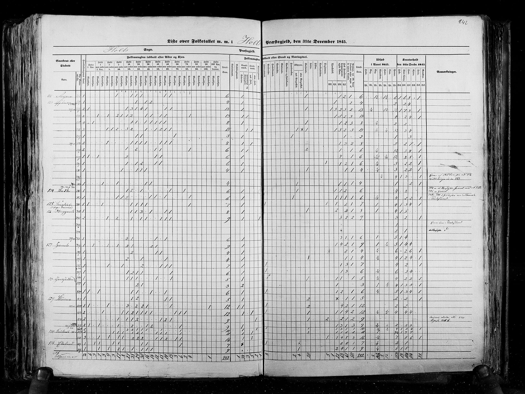 RA, Census 1845, vol. 5: Bratsberg amt og Nedenes og Råbyggelaget amt, 1845, p. 242