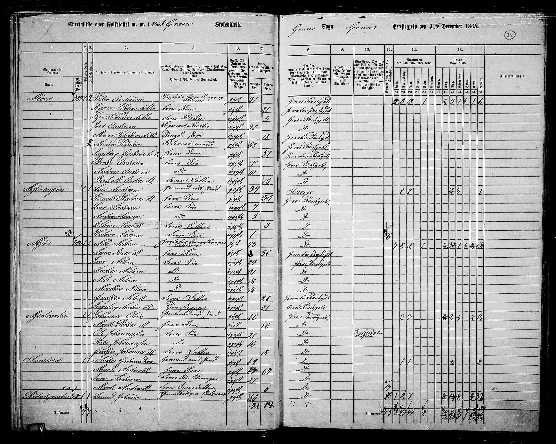 RA, 1865 census for Gran, 1865, p. 19