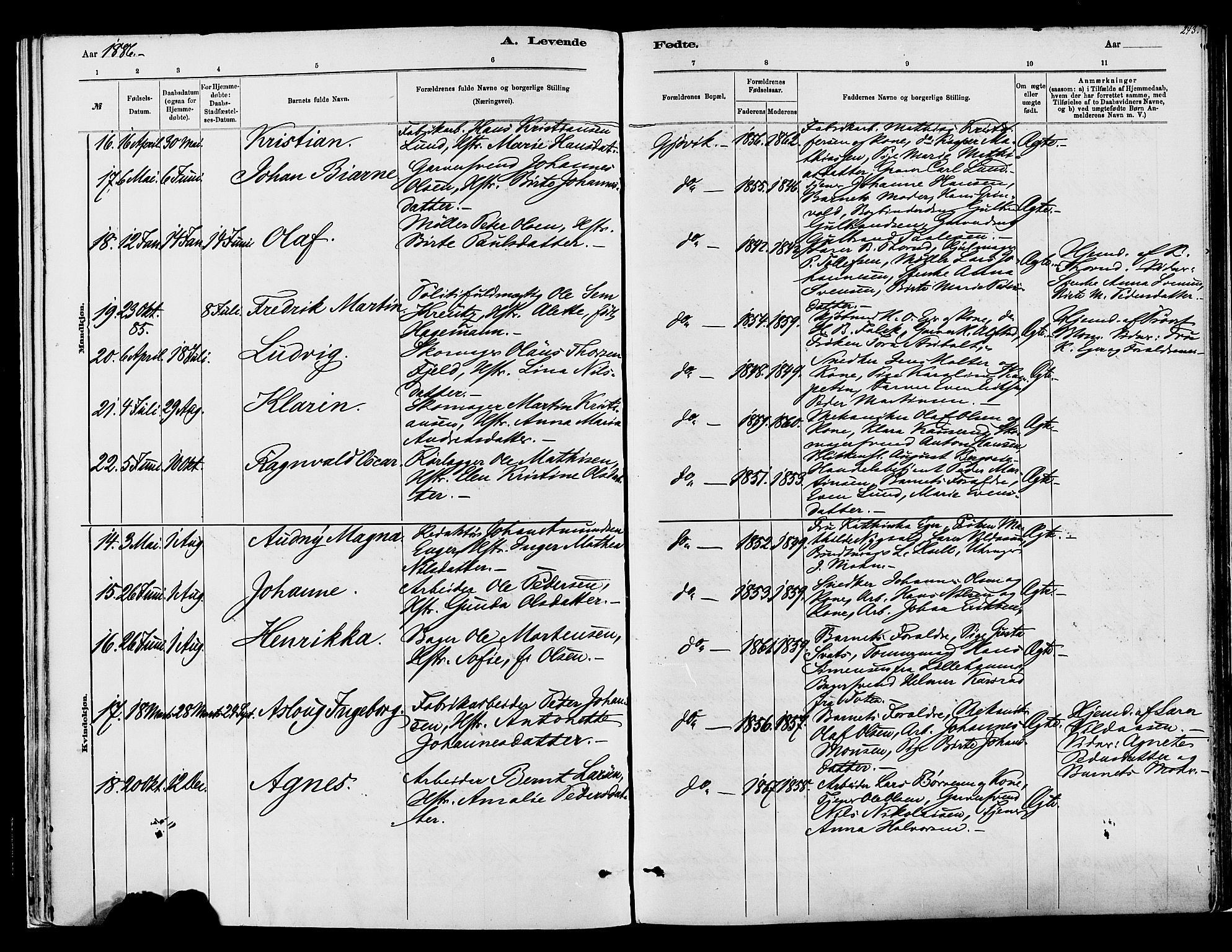 Vardal prestekontor, SAH/PREST-100/H/Ha/Haa/L0008: Parish register (official) no. 8, 1878-1890, p. 243