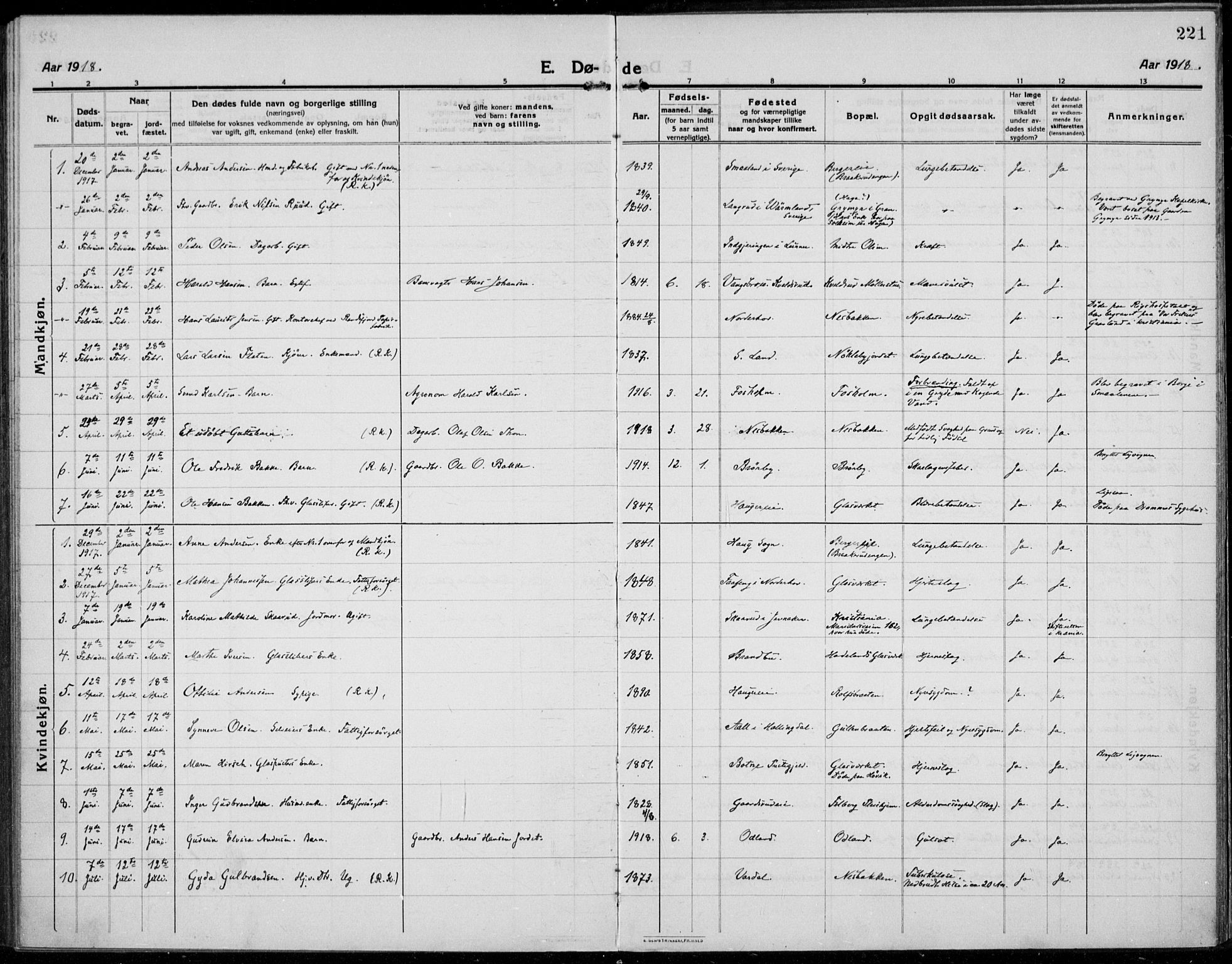 Jevnaker prestekontor, SAH/PREST-116/H/Ha/Haa/L0012: Parish register (official) no. 12, 1914-1924, p. 221
