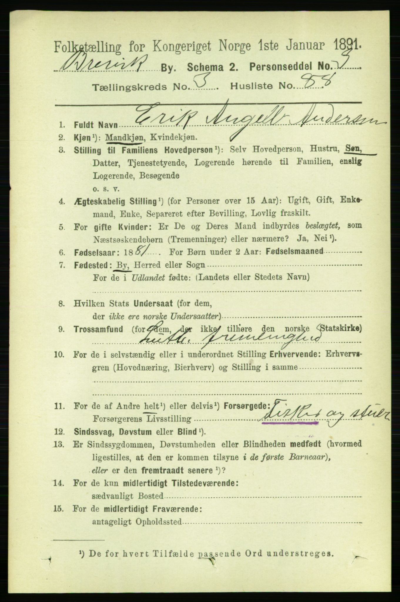 RA, 1891 census for 0804 Brevik, 1891, p. 2691