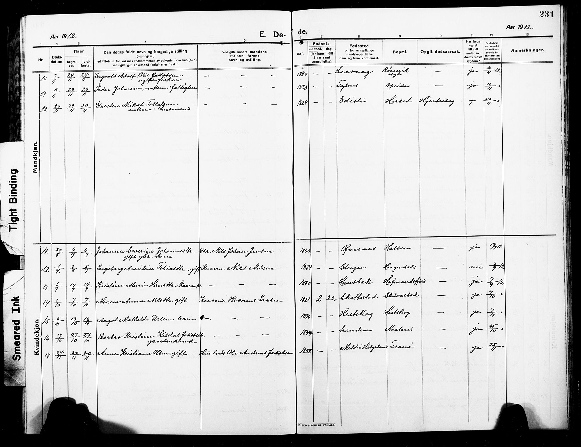 Ministerialprotokoller, klokkerbøker og fødselsregistre - Nordland, AV/SAT-A-1459/859/L0861: Parish register (copy) no. 859C07, 1910-1925, p. 231