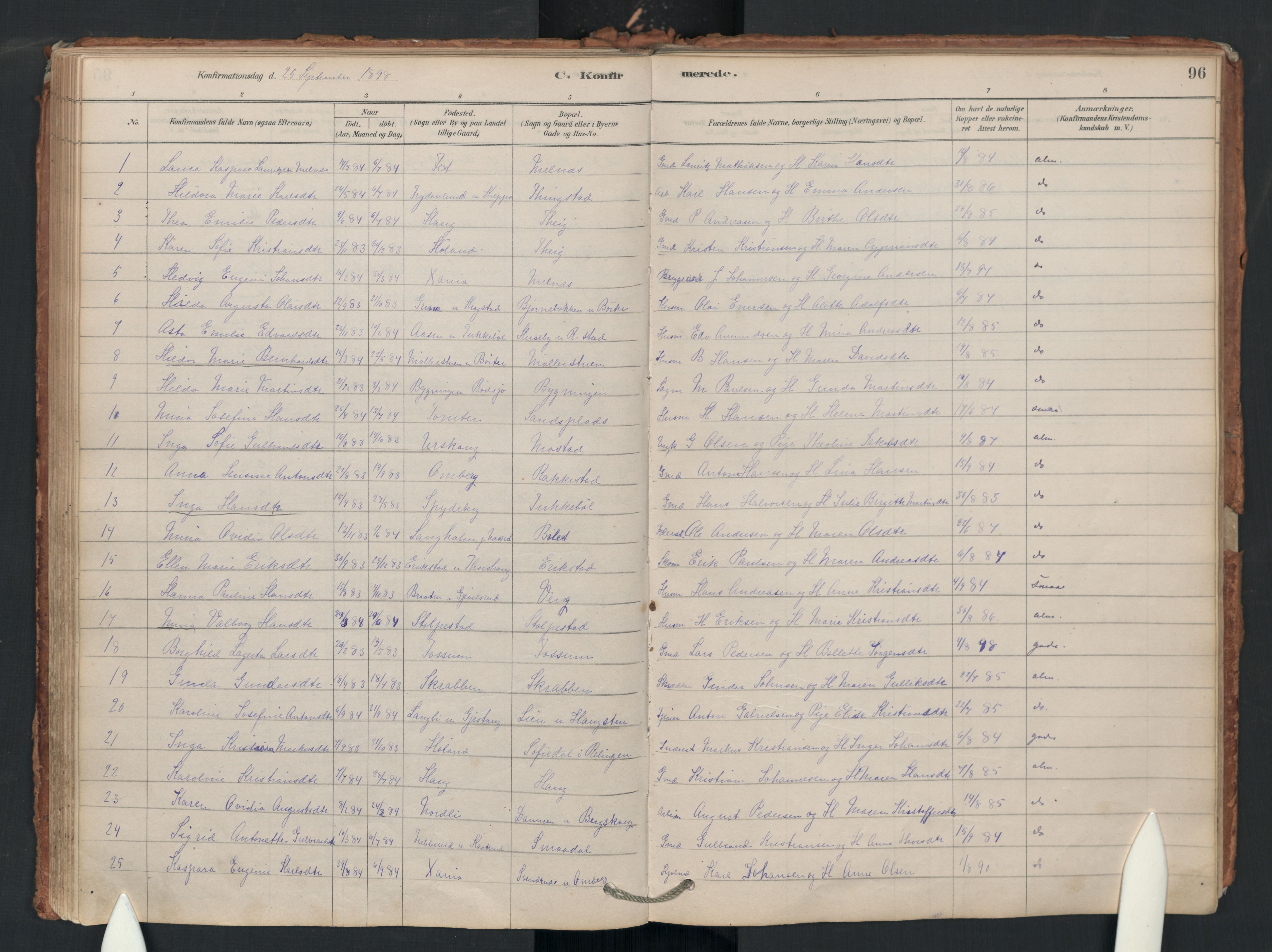 Enebakk prestekontor Kirkebøker, SAO/A-10171c/F/Fa/L0018: Parish register (official) no. I 18, 1877-1930, p. 96