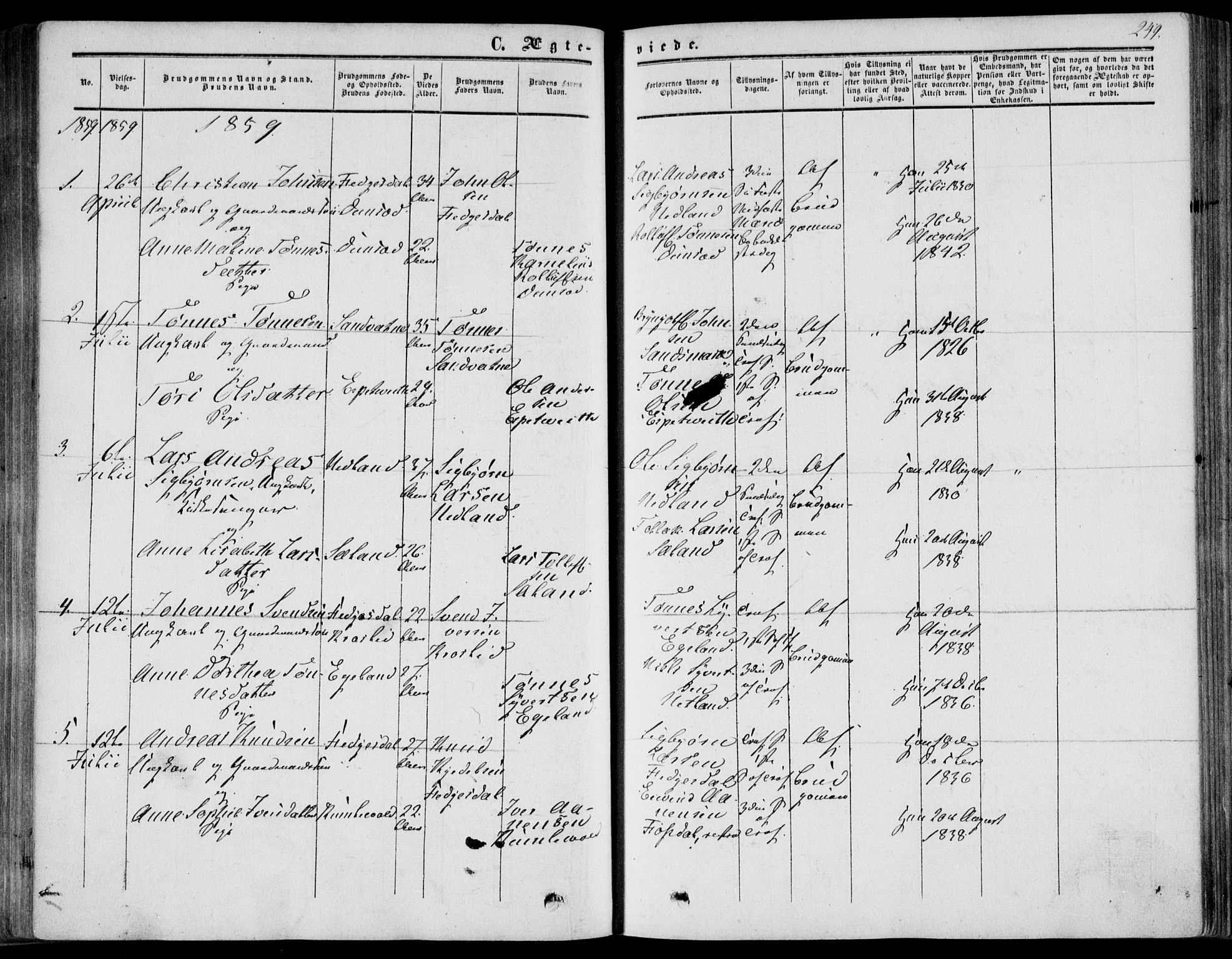 Bakke sokneprestkontor, SAK/1111-0002/F/Fa/Fab/L0002: Parish register (official) no. A 2, 1855-1884, p. 249