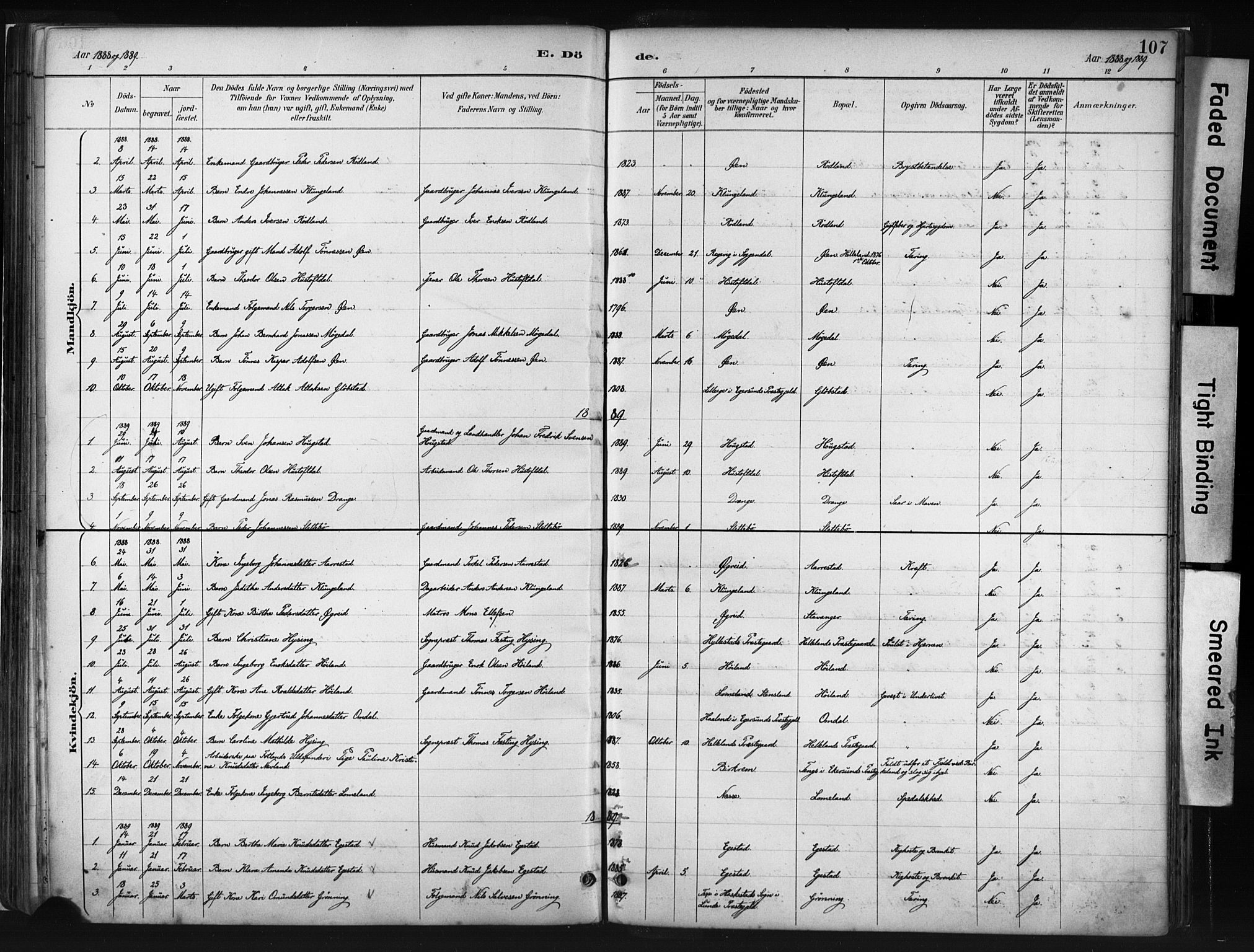 Helleland sokneprestkontor, SAST/A-101810: Parish register (official) no. A 8, 1887-1907, p. 107