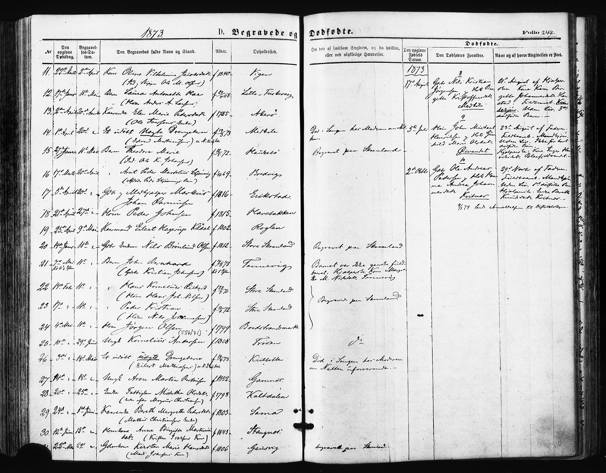 Trondenes sokneprestkontor, AV/SATØ-S-1319/H/Ha/L0013kirke: Parish register (official) no. 13, 1870-1878, p. 247