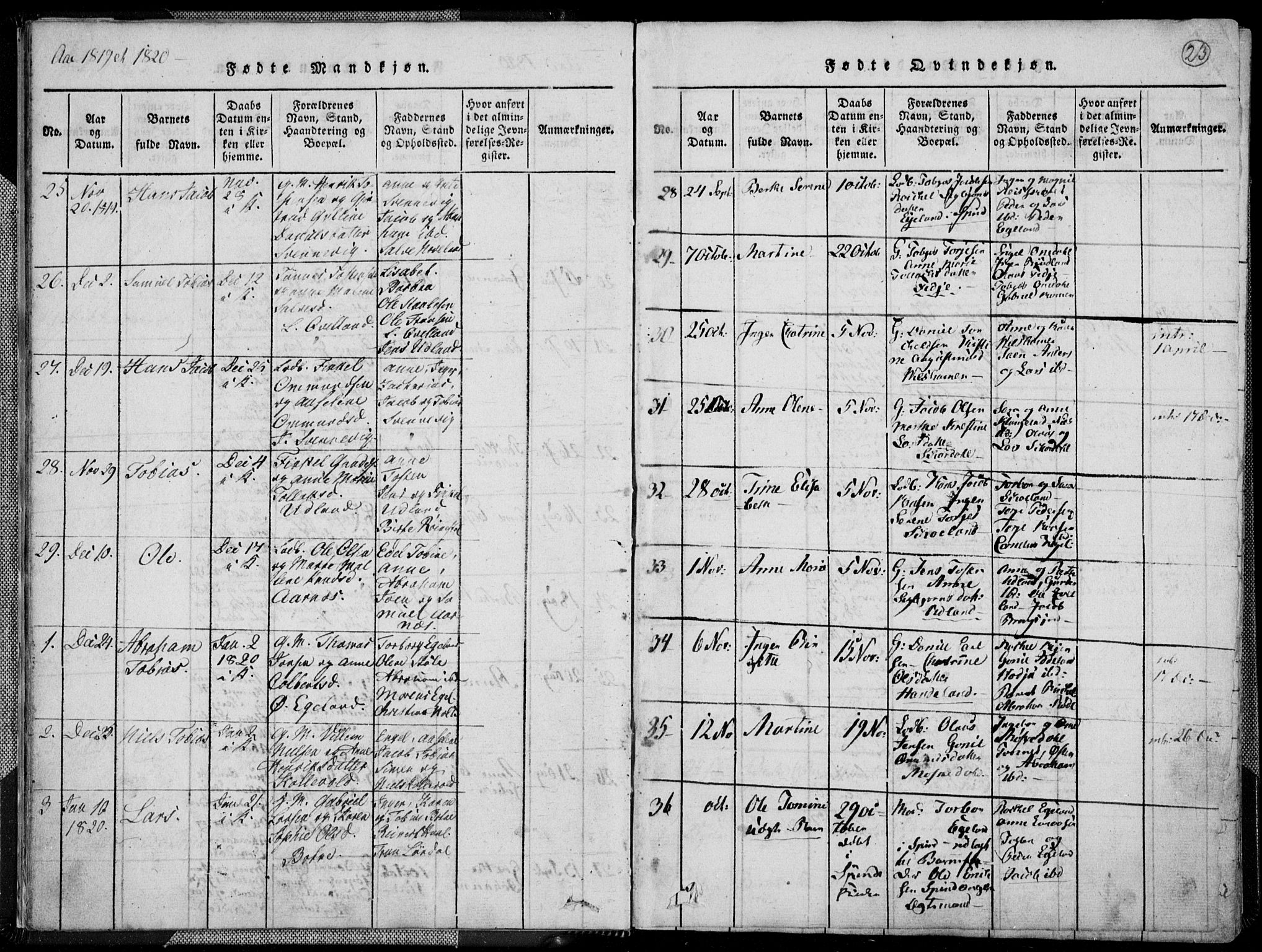 Lyngdal sokneprestkontor, SAK/1111-0029/F/Fa/Fac/L0006: Parish register (official) no. A 6, 1815-1825, p. 23