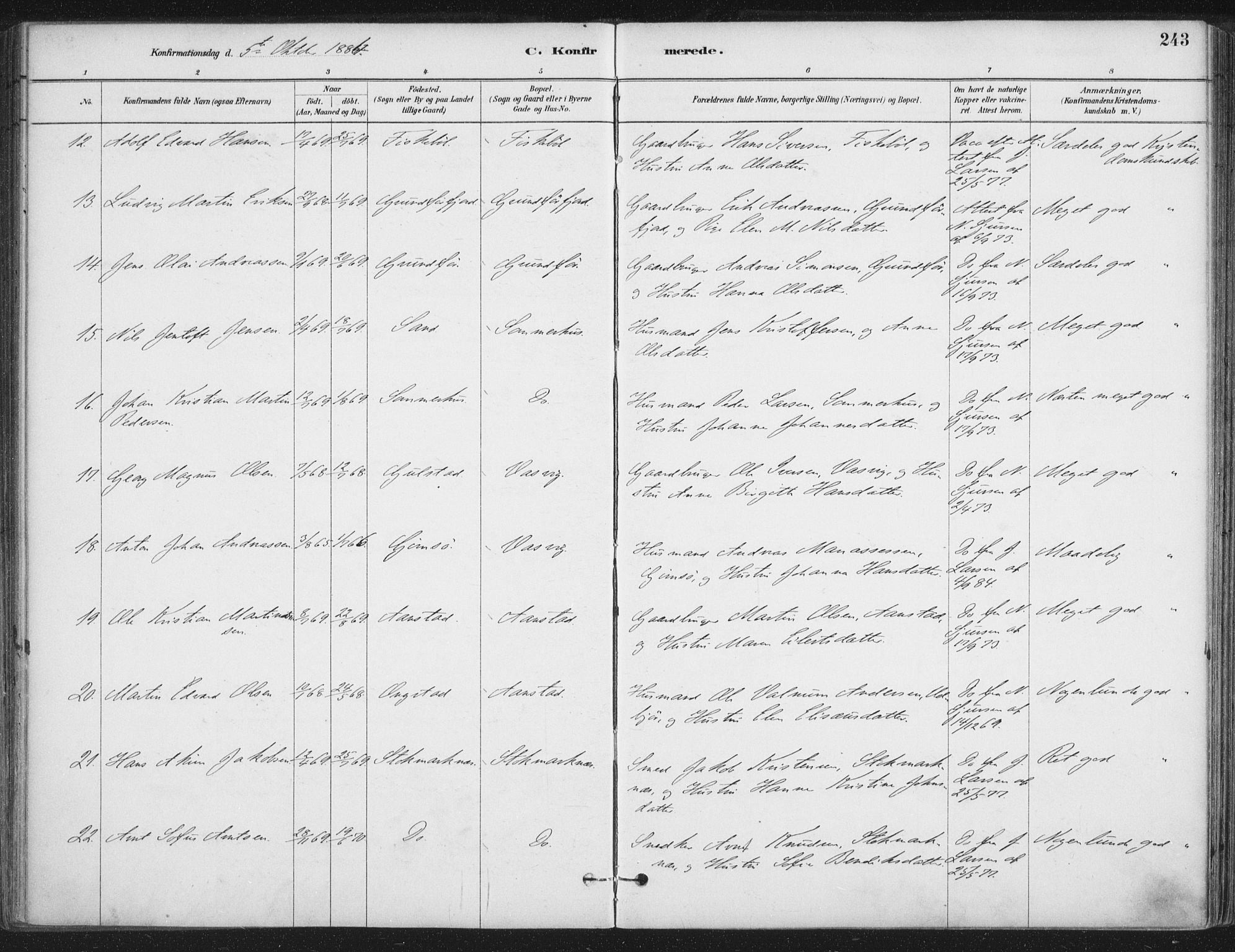 Ministerialprotokoller, klokkerbøker og fødselsregistre - Nordland, SAT/A-1459/888/L1244: Parish register (official) no. 888A10, 1880-1890, p. 243