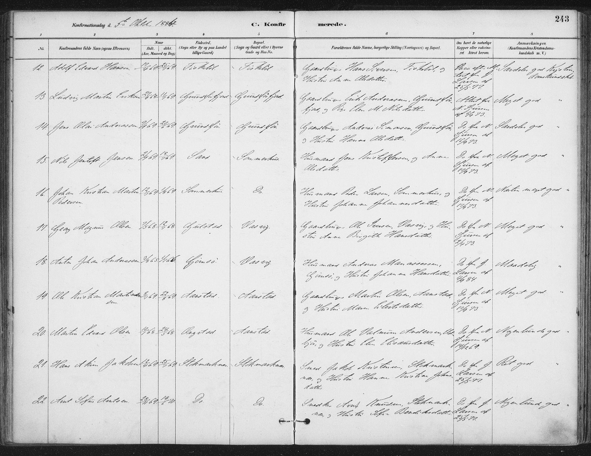 Ministerialprotokoller, klokkerbøker og fødselsregistre - Nordland, AV/SAT-A-1459/888/L1244: Parish register (official) no. 888A10, 1880-1890, p. 243