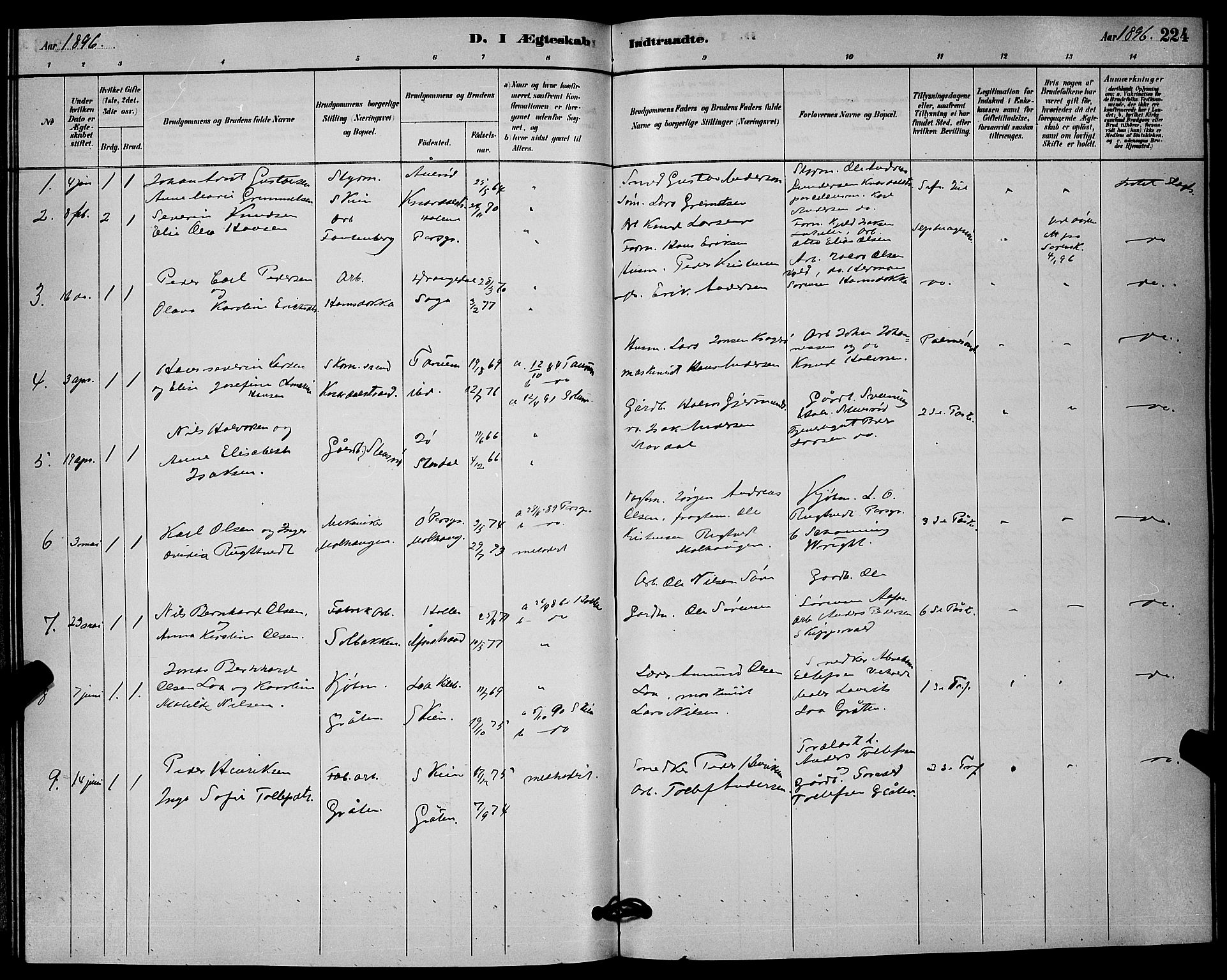 Solum kirkebøker, AV/SAKO-A-306/G/Ga/L0007: Parish register (copy) no. I 7, 1884-1898, p. 224