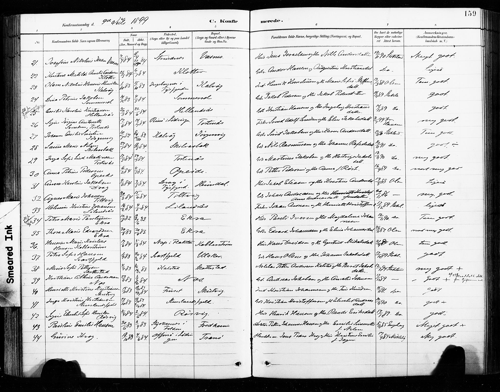 Ministerialprotokoller, klokkerbøker og fødselsregistre - Nordland, AV/SAT-A-1459/859/L0847: Parish register (official) no. 859A07, 1890-1899, p. 159