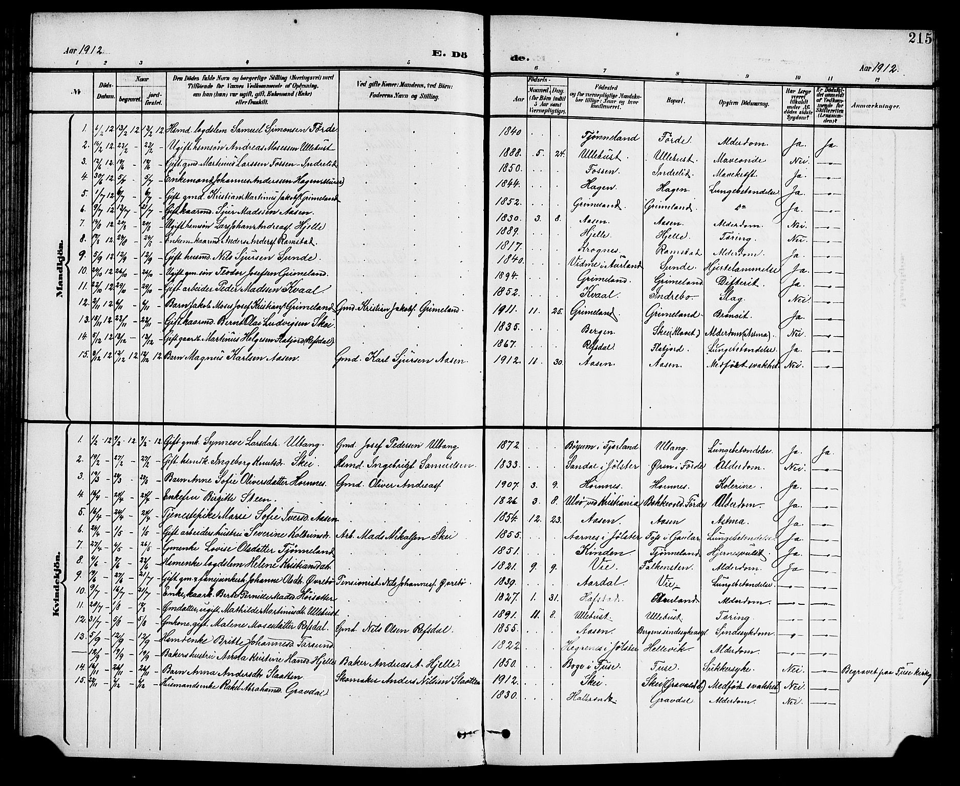 Førde sokneprestembete, AV/SAB-A-79901/H/Hab/Haba/L0003: Parish register (copy) no. A 3, 1899-1924, p. 215