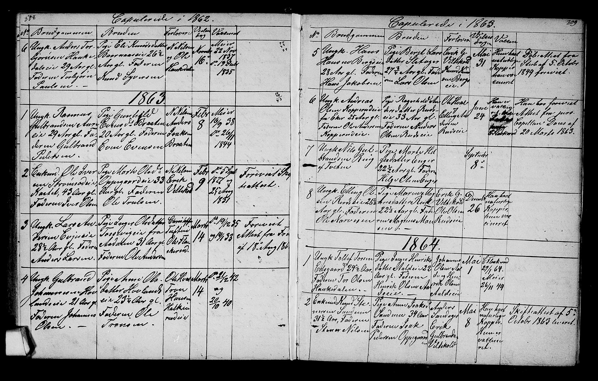 Lunder kirkebøker, SAKO/A-629/G/Ga/L0002: Parish register (copy) no. I 2, 1849-1868, p. 308-309