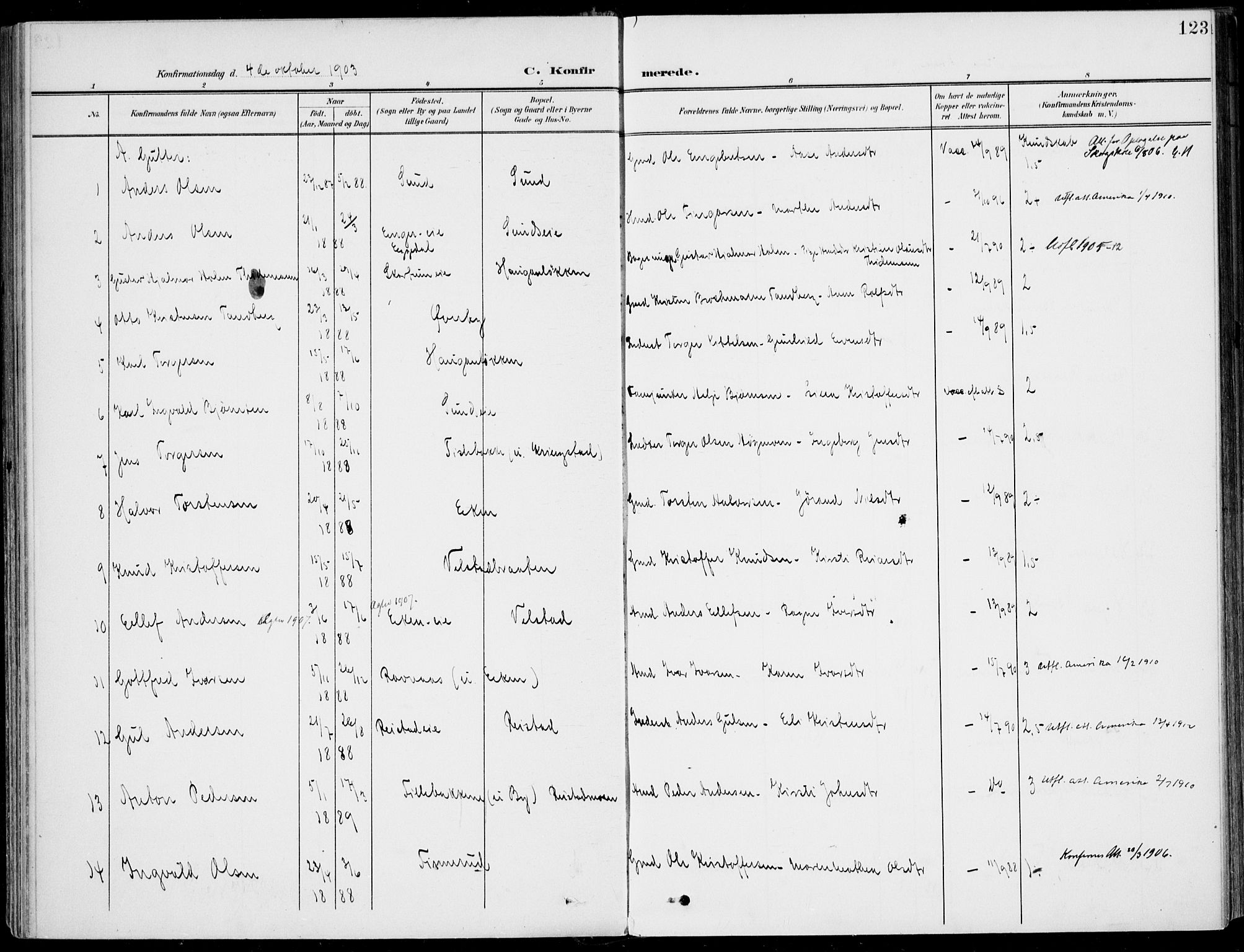 Sigdal kirkebøker, SAKO/A-245/F/Fb/L0002: Parish register (official) no. II 2, 1901-1914, p. 123