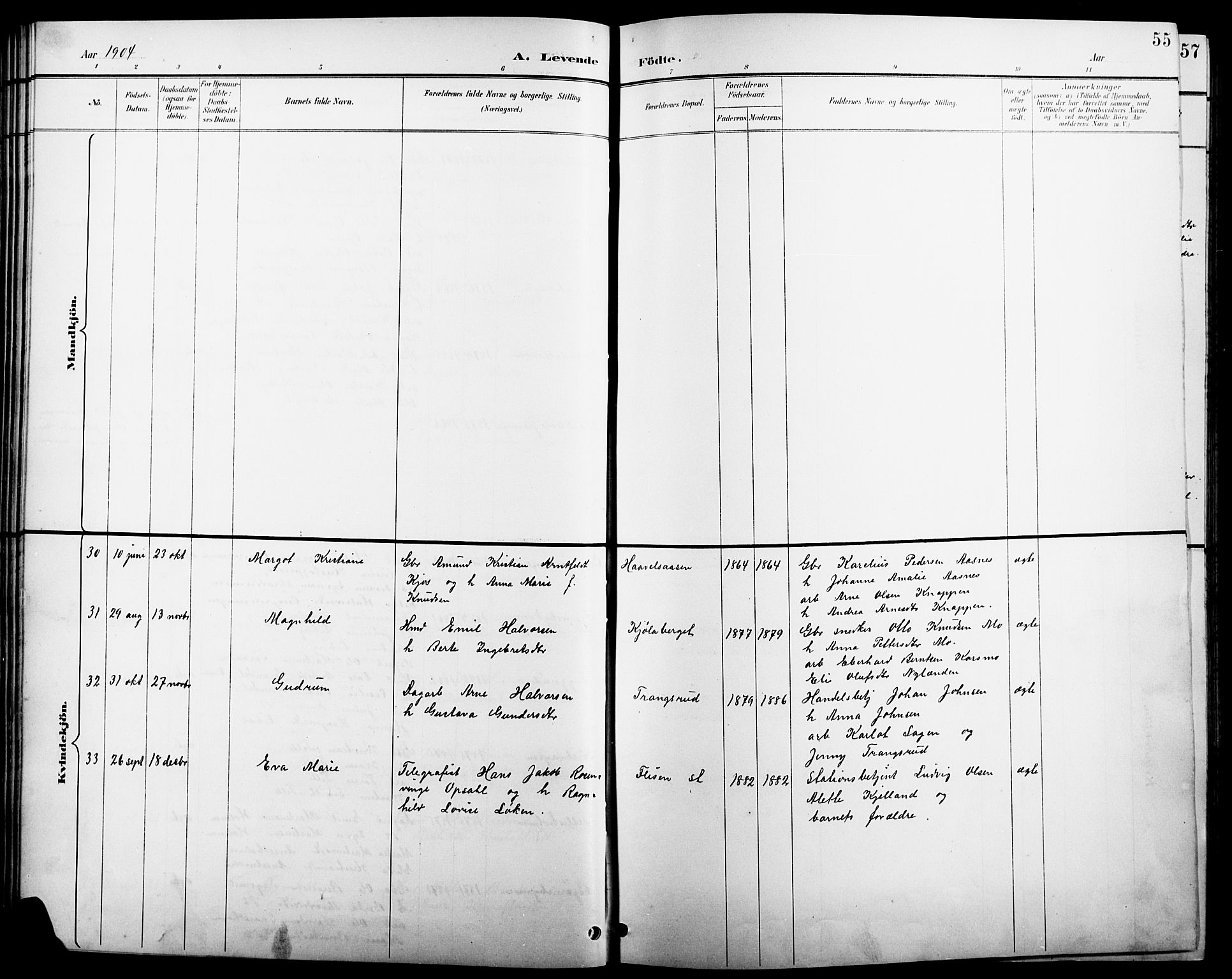 Åsnes prestekontor, AV/SAH-PREST-042/H/Ha/Hab/L0004: Parish register (copy) no. 4, 1895-1909, p. 55