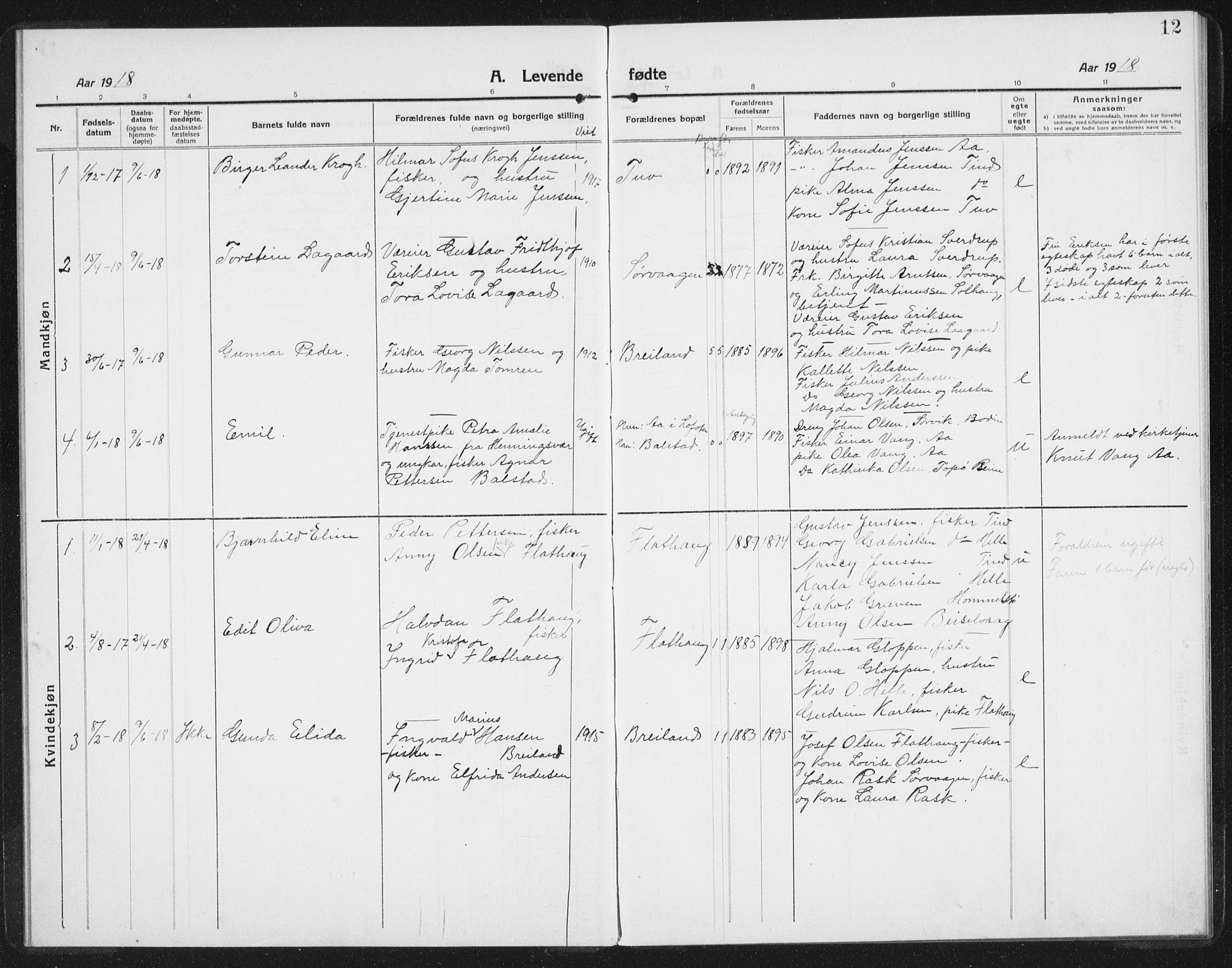 Ministerialprotokoller, klokkerbøker og fødselsregistre - Nordland, AV/SAT-A-1459/886/L1226: Parish register (copy) no. 886C03, 1916-1935, p. 12