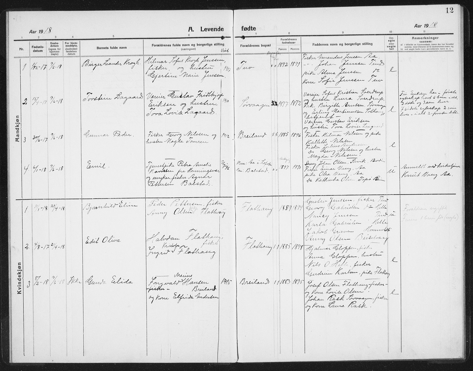 Ministerialprotokoller, klokkerbøker og fødselsregistre - Nordland, SAT/A-1459/886/L1226: Parish register (copy) no. 886C03, 1916-1935, p. 12